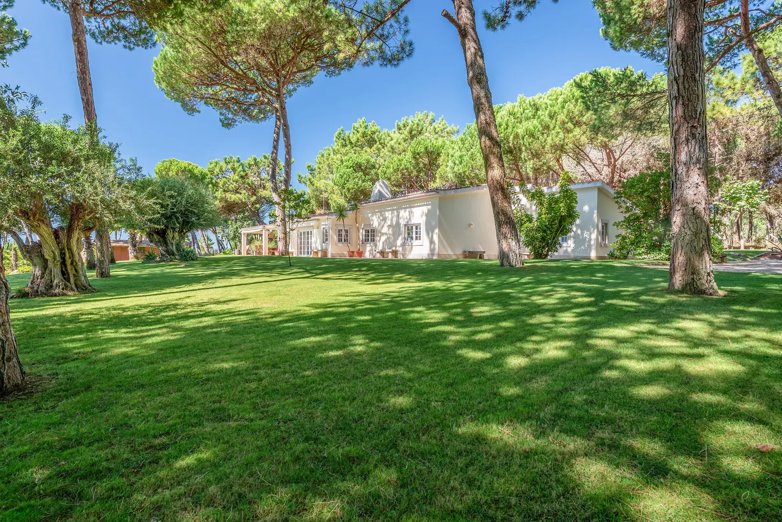 Villa with Luxury Garden in Sintra 34