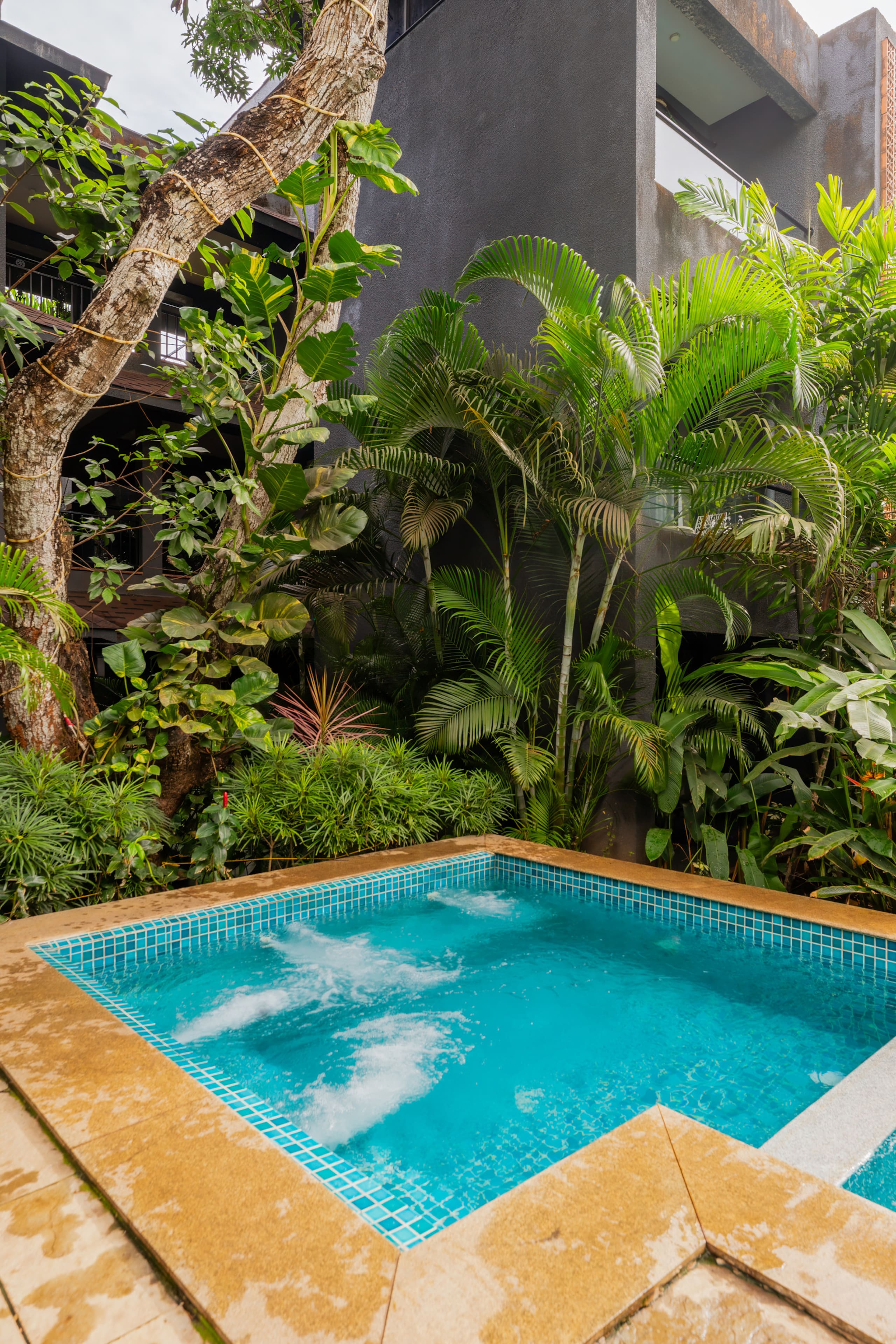 Sereno Siesta 2bhk cosy apt w/balcony swing & pool 8