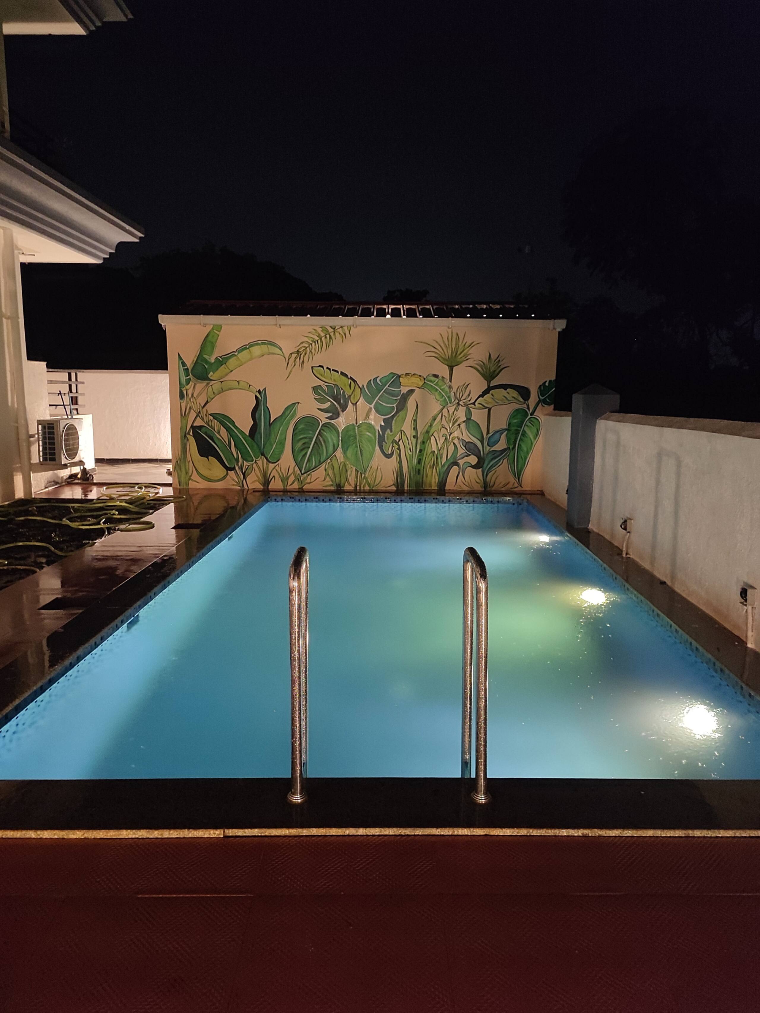 2BHK w Pool near Panjim 23