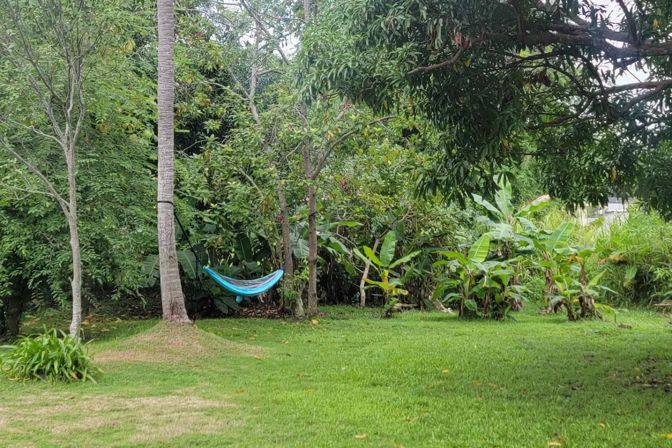 Private pool, large yard- minutes to beach/ferry 15