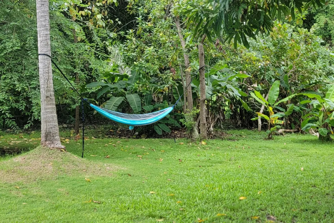 Private pool, large yard- minutes to beach/ferry 7