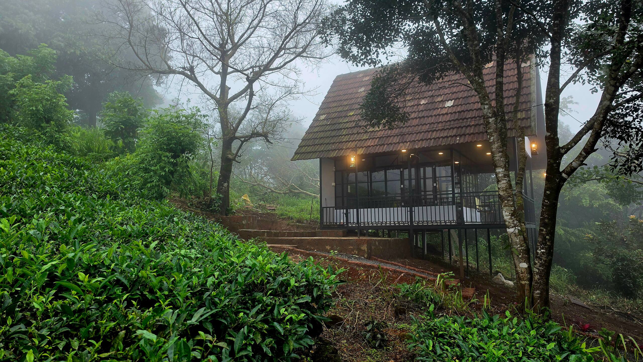 Wake up like a hornbill above the clouds 3