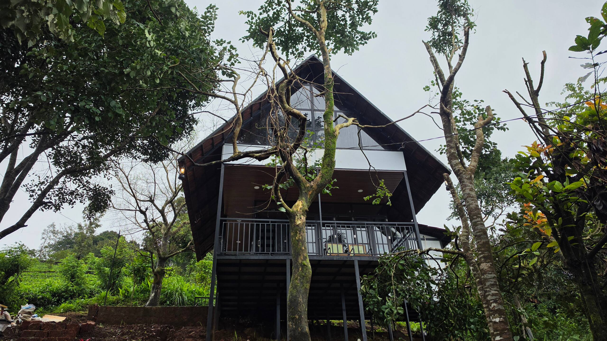 Wake up like a hornbill above the clouds 5