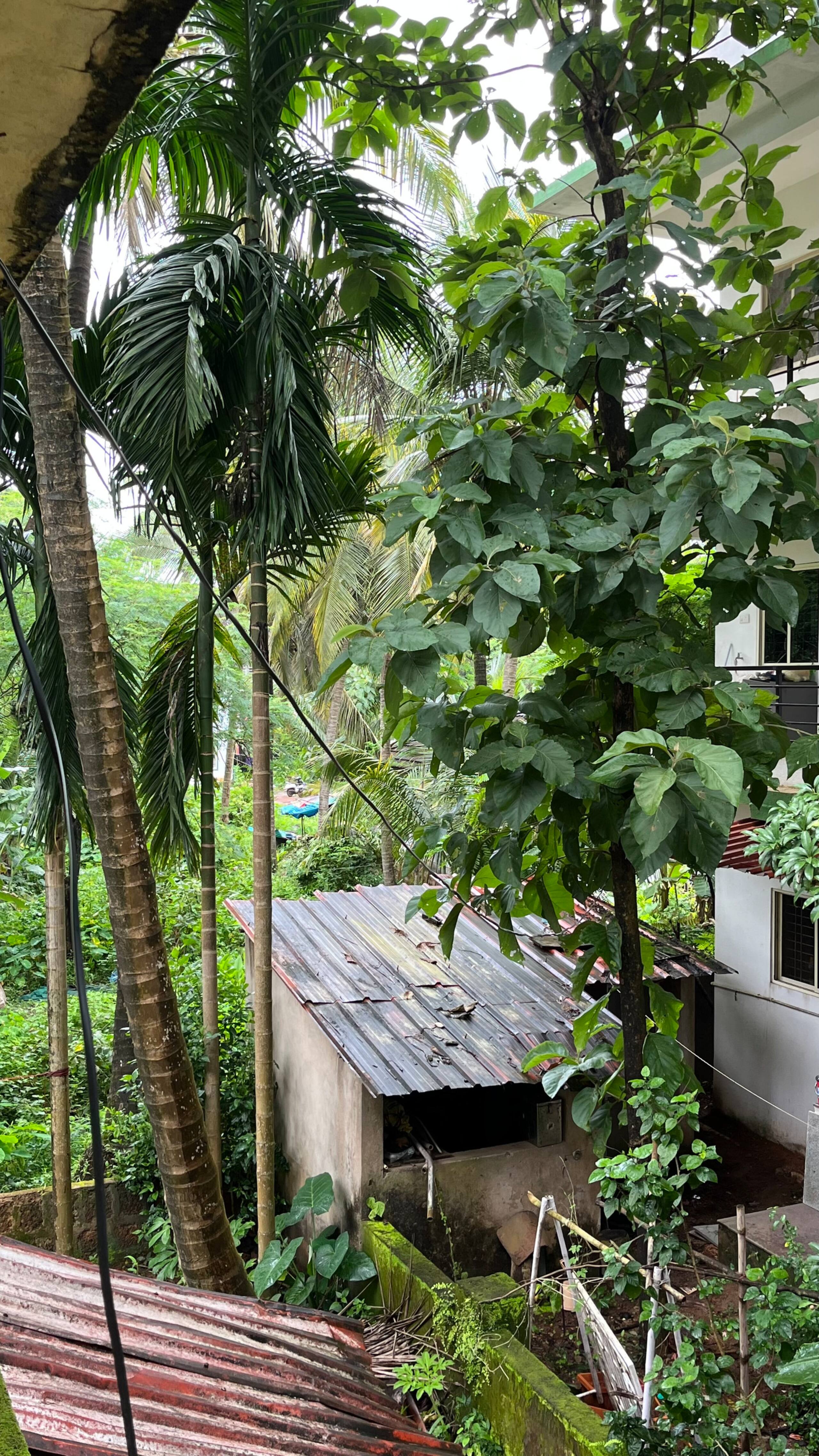 1Bhk | Social Stay | Mandrem 16