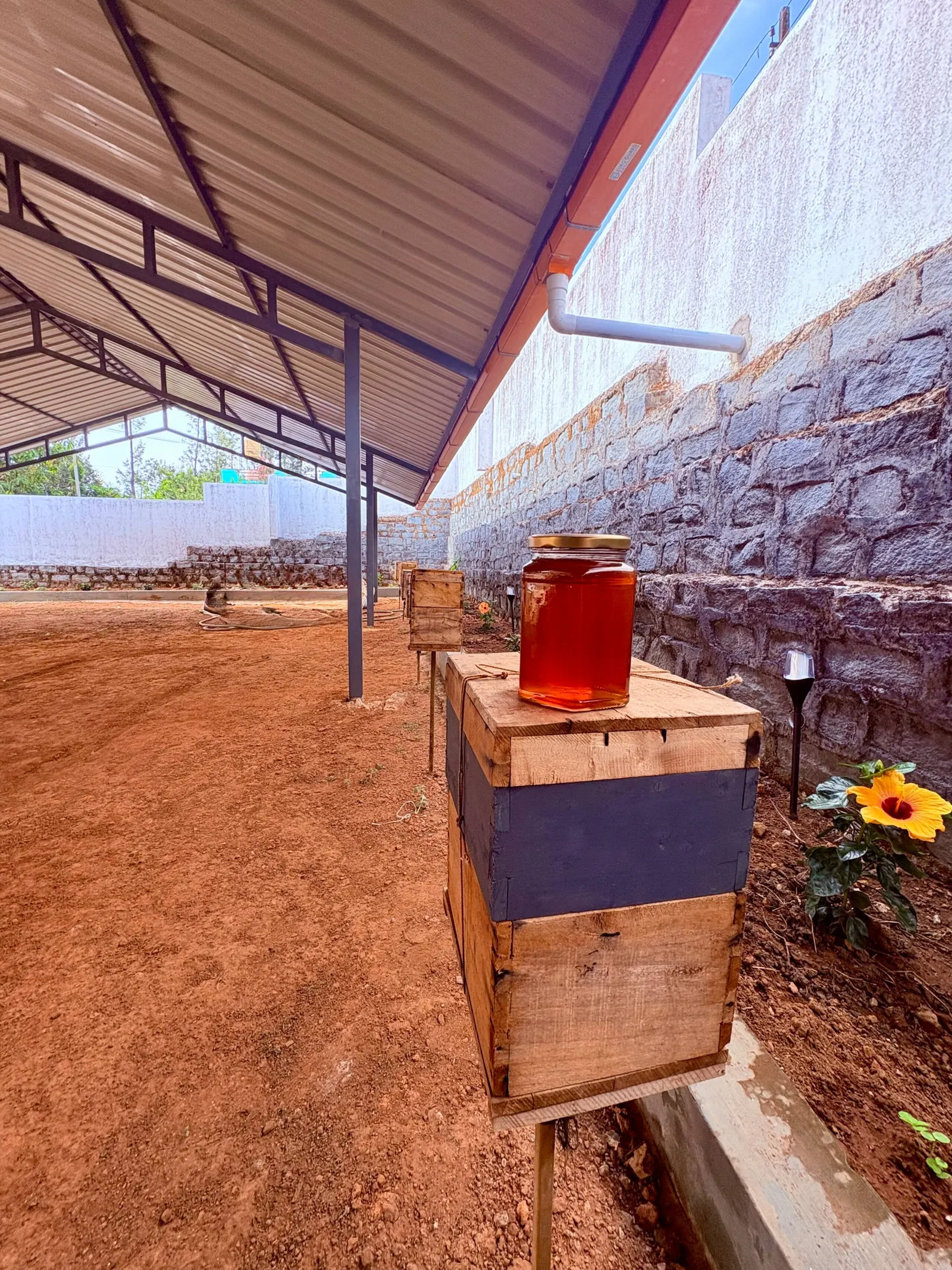 TSM:Cozy Single Room & Homemade food 14