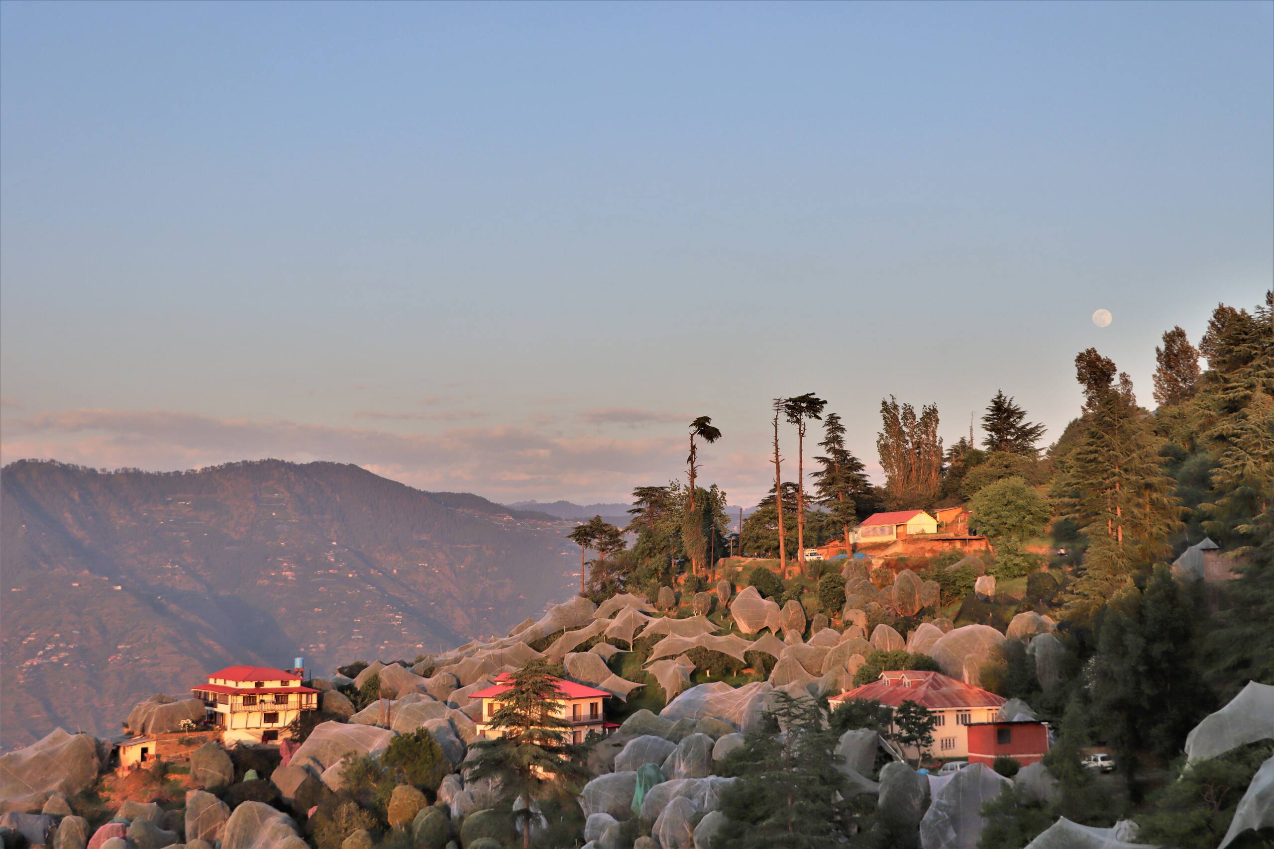 Attic Himalaya View|Grandma Stokes Orchard Retreat 9