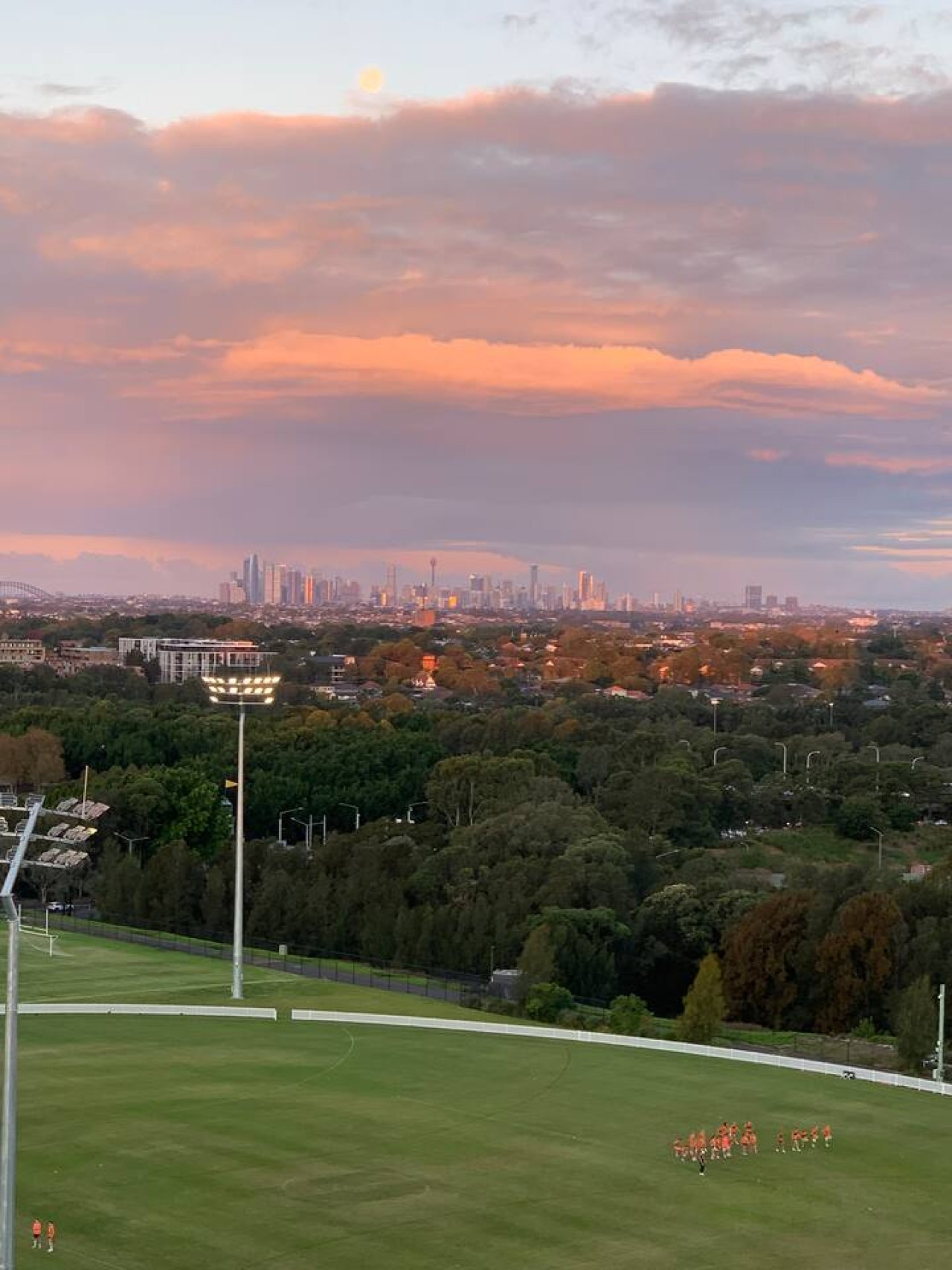 Panoramic CBD & Park Views Near Accor Stadium 6