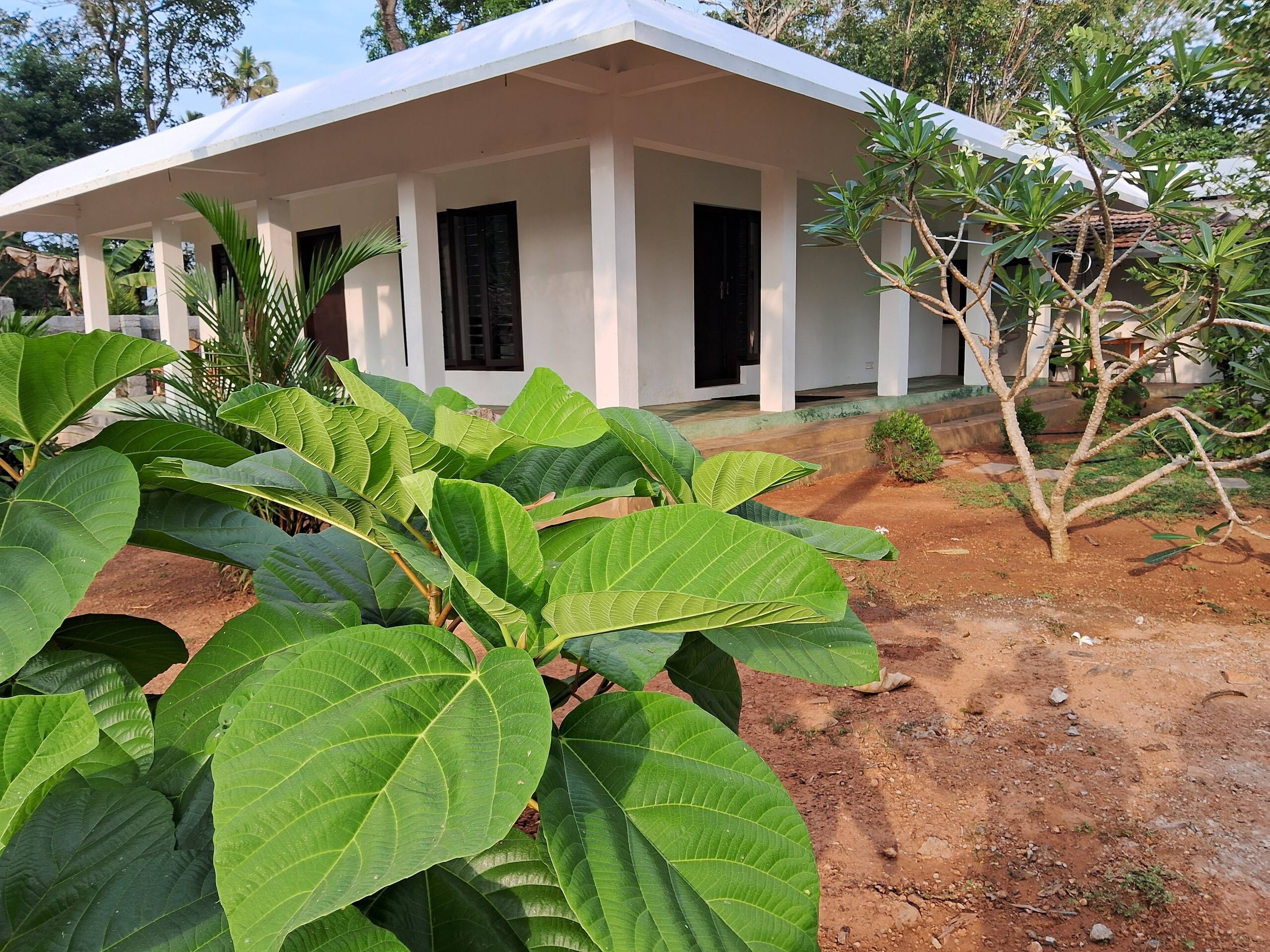 Sebastians Oasis 7