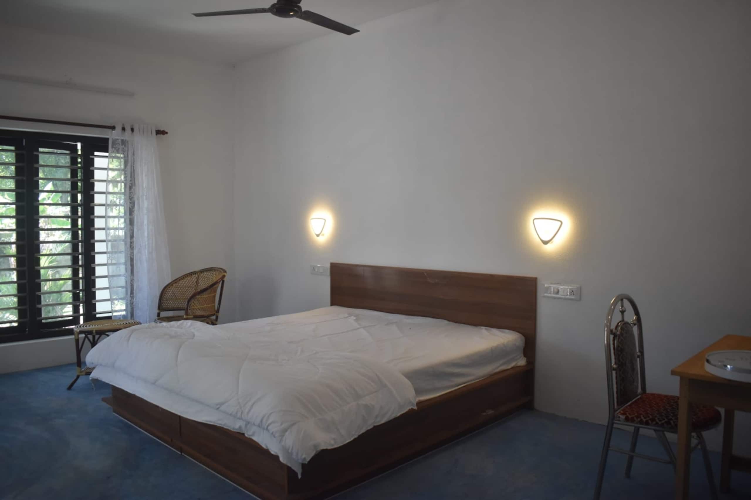 Sebastians Oasis 3