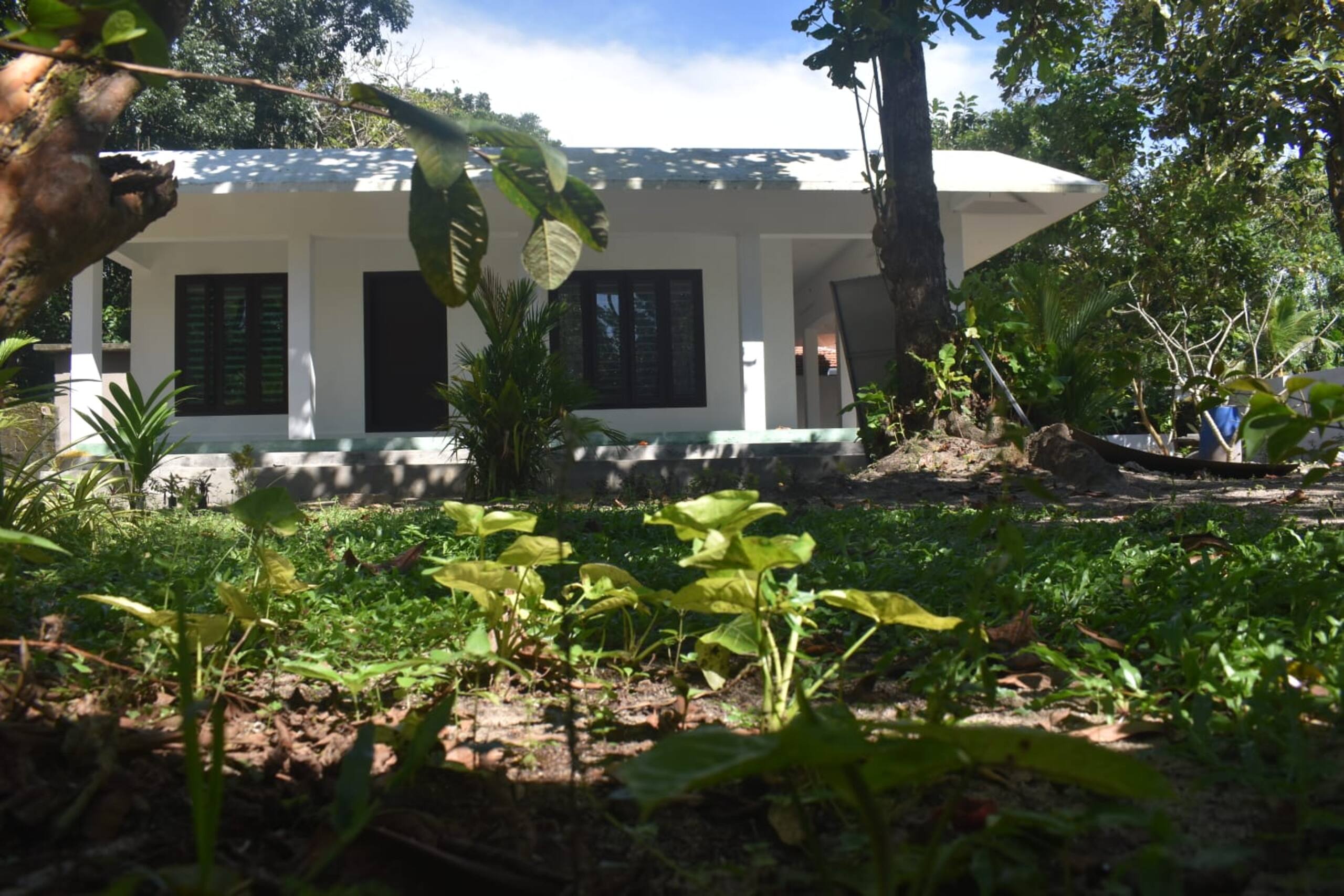 Sebastians Oasis 8
