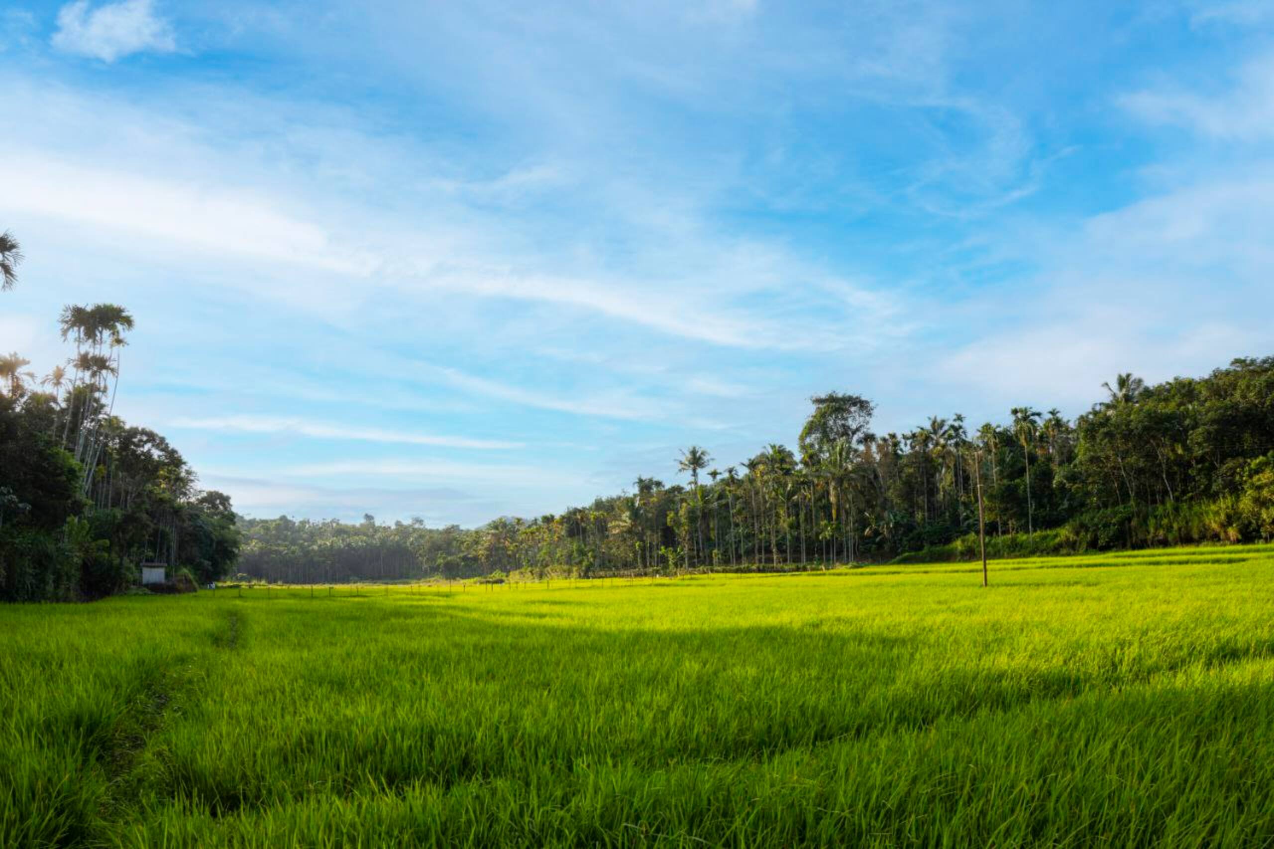 Cozy A-Frame Chalet | Ground Floor | Wayanad Stay 15