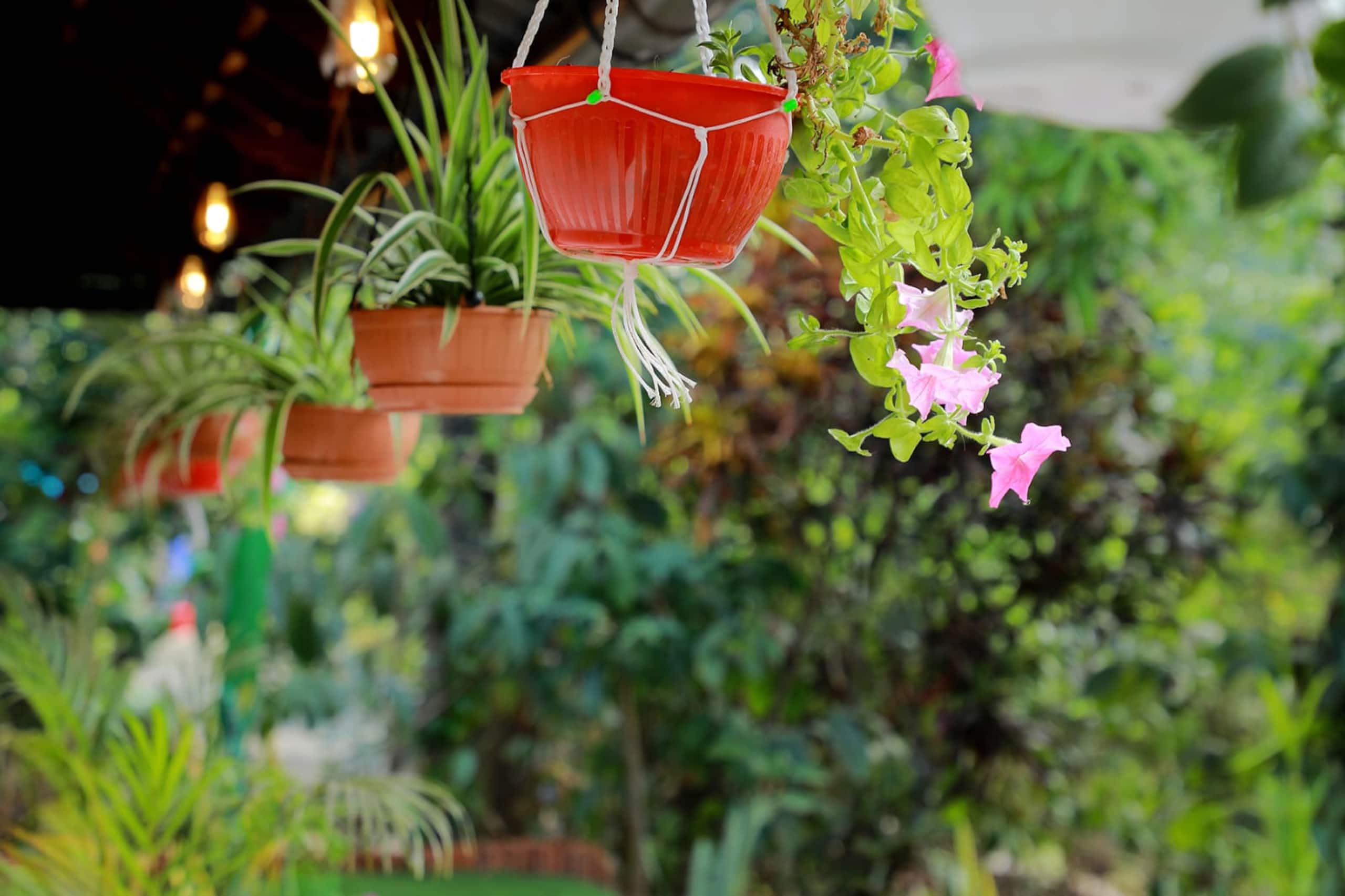 Celestial homestay 12