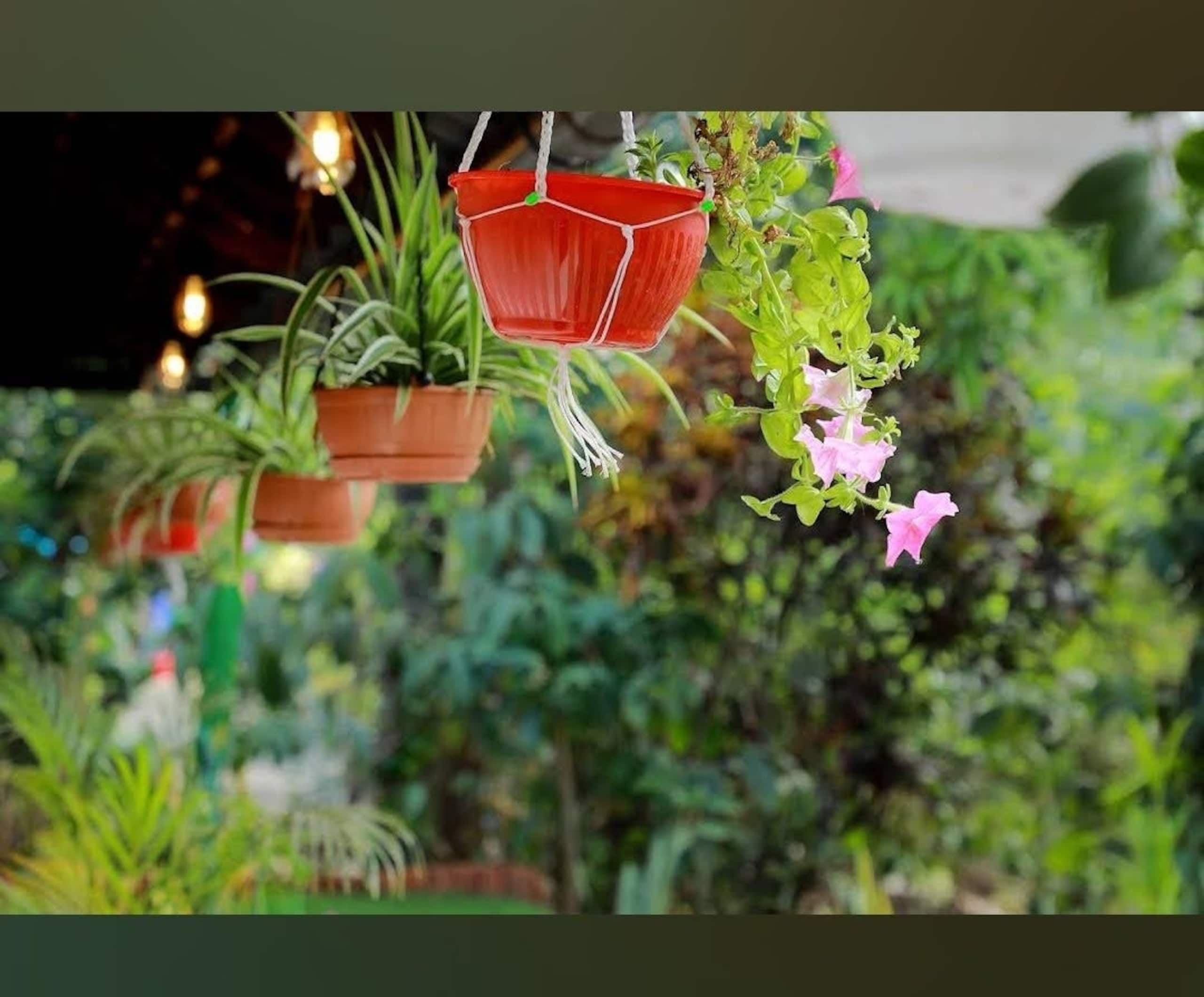 Celestial homestay 13