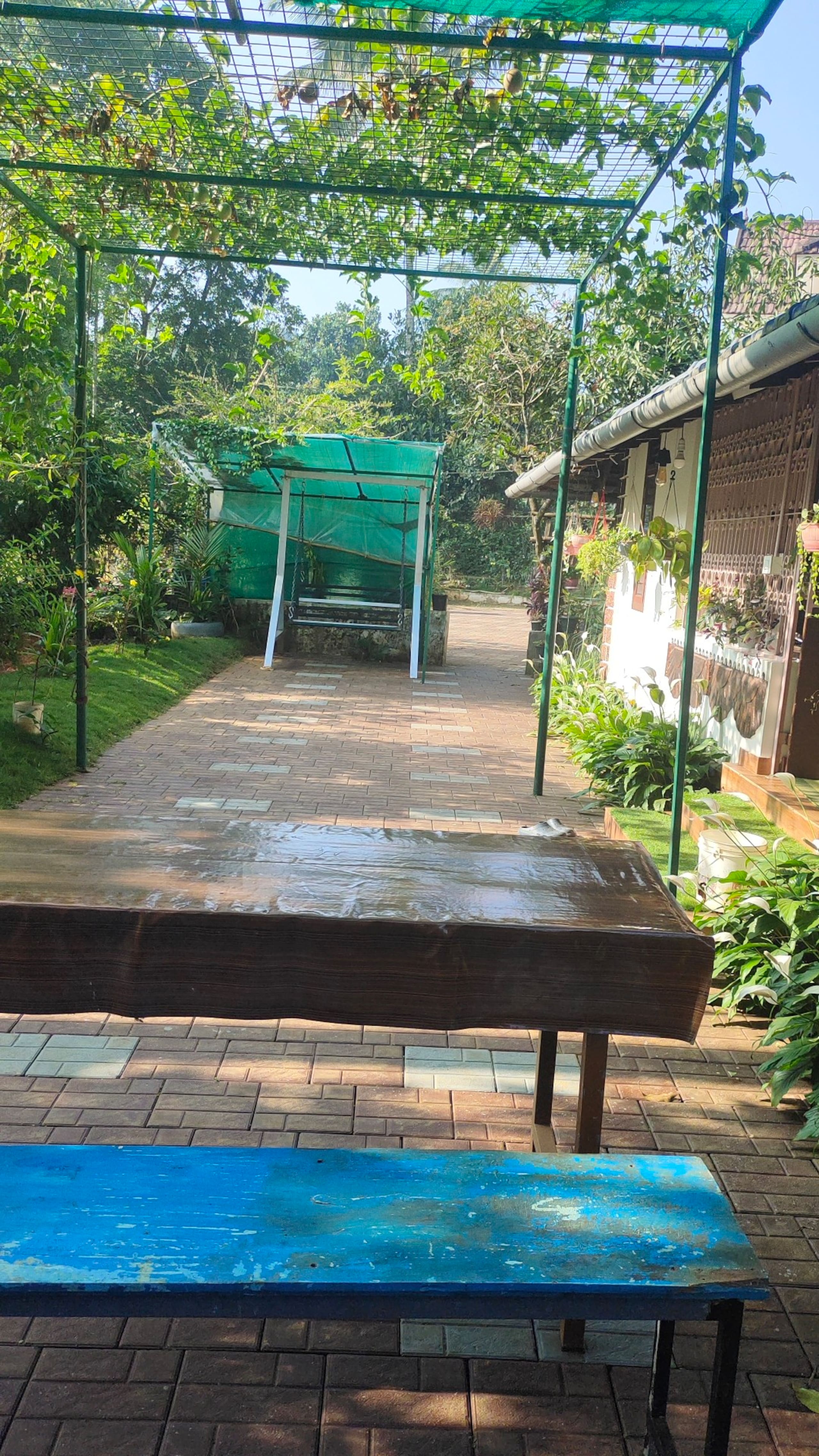 Celestial homestay 19