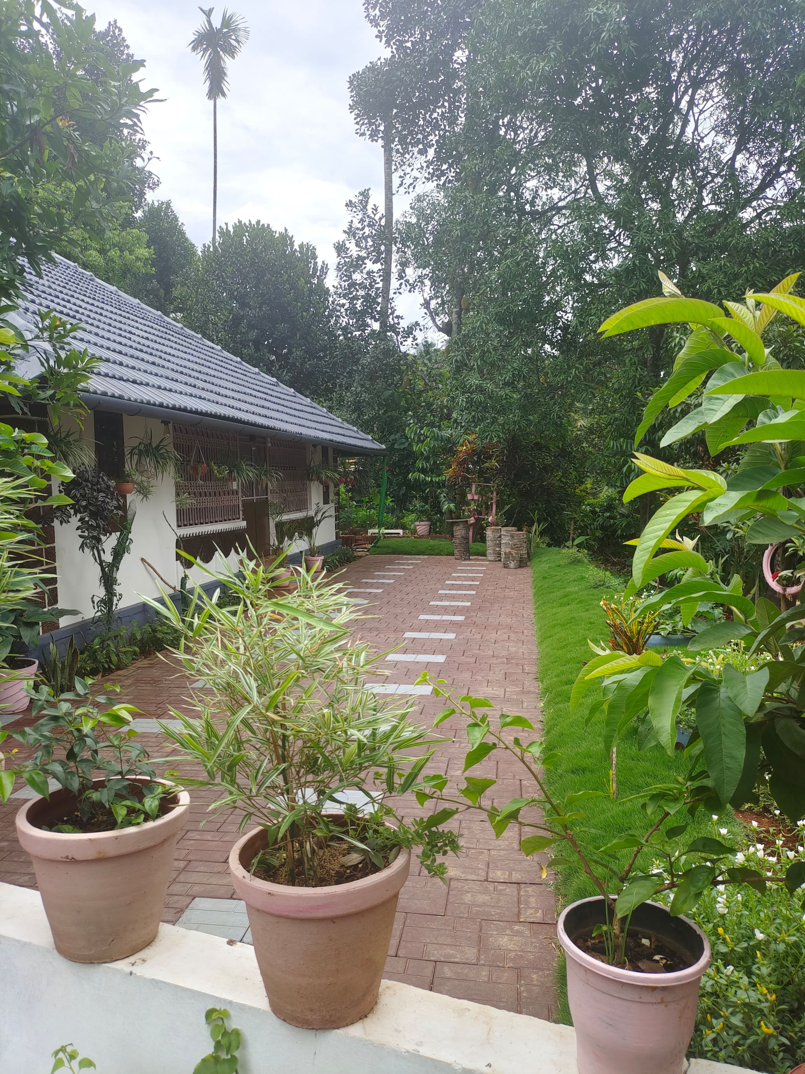 Celestial homestay 22