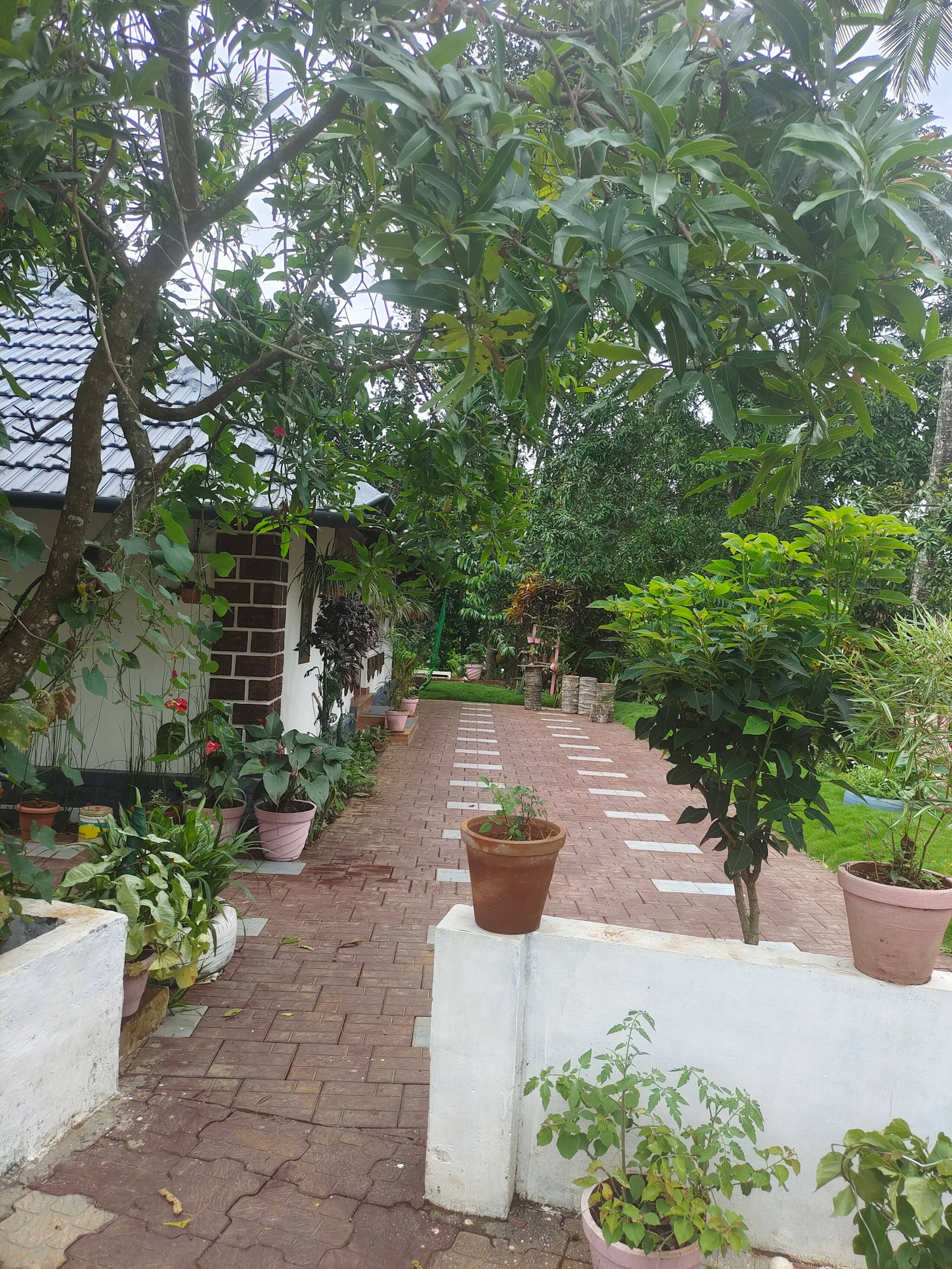Celestial homestay 23
