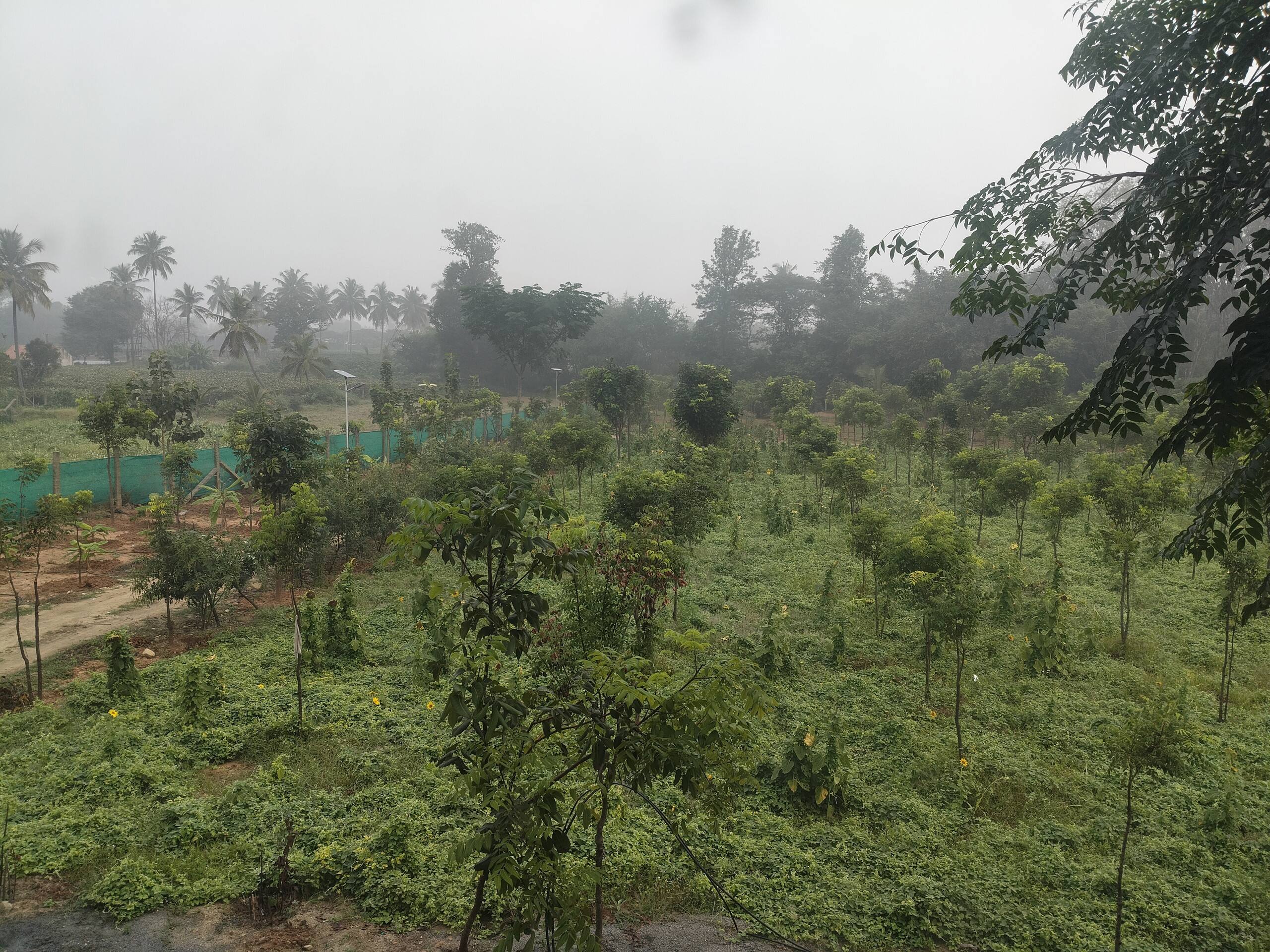 Chinnaswamy Farm stay (Tree House) 11