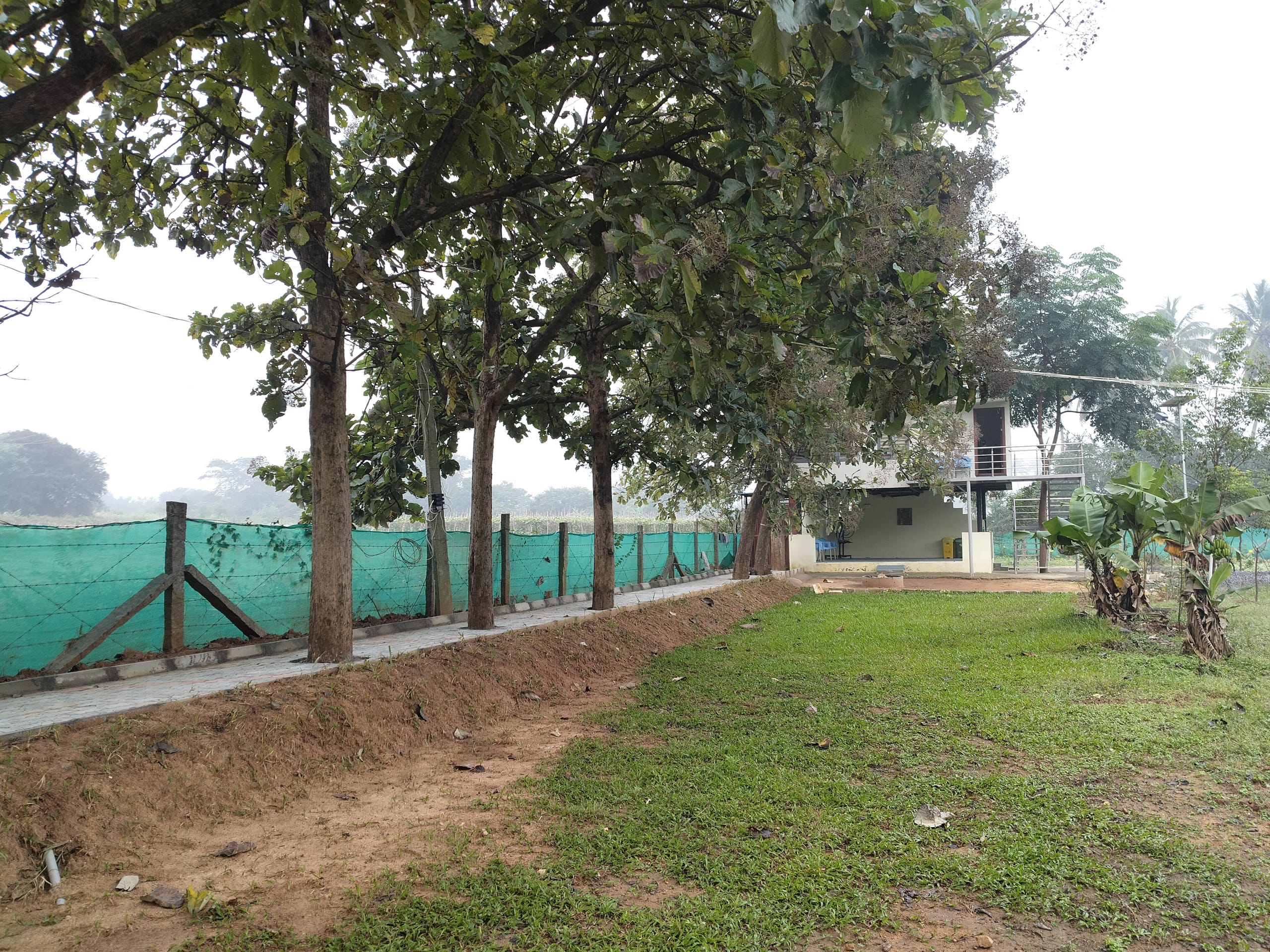 Chinnaswamy Farm stay (Tree House) 8