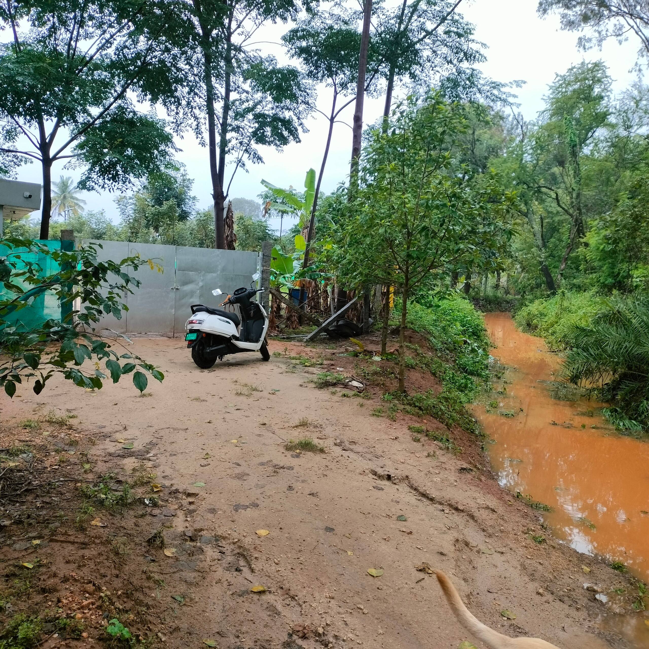 Chinnaswamy Farm stay (Tree House) 28