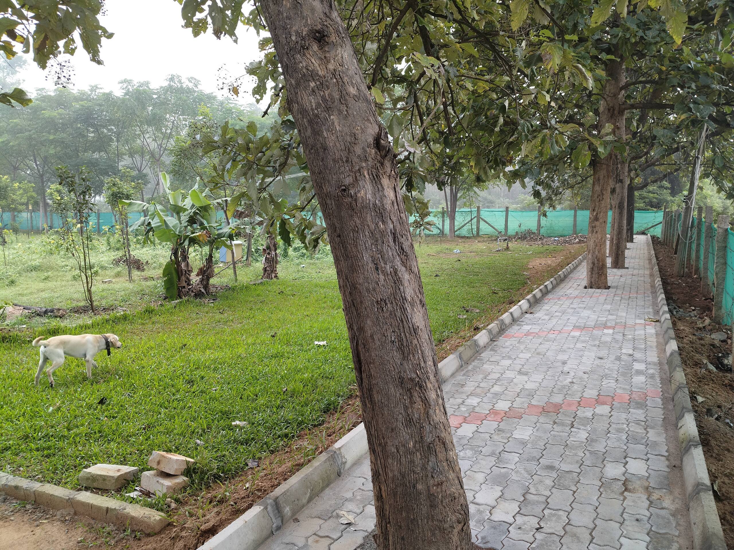 Chinnaswamy Farm stay (Tree House) 9