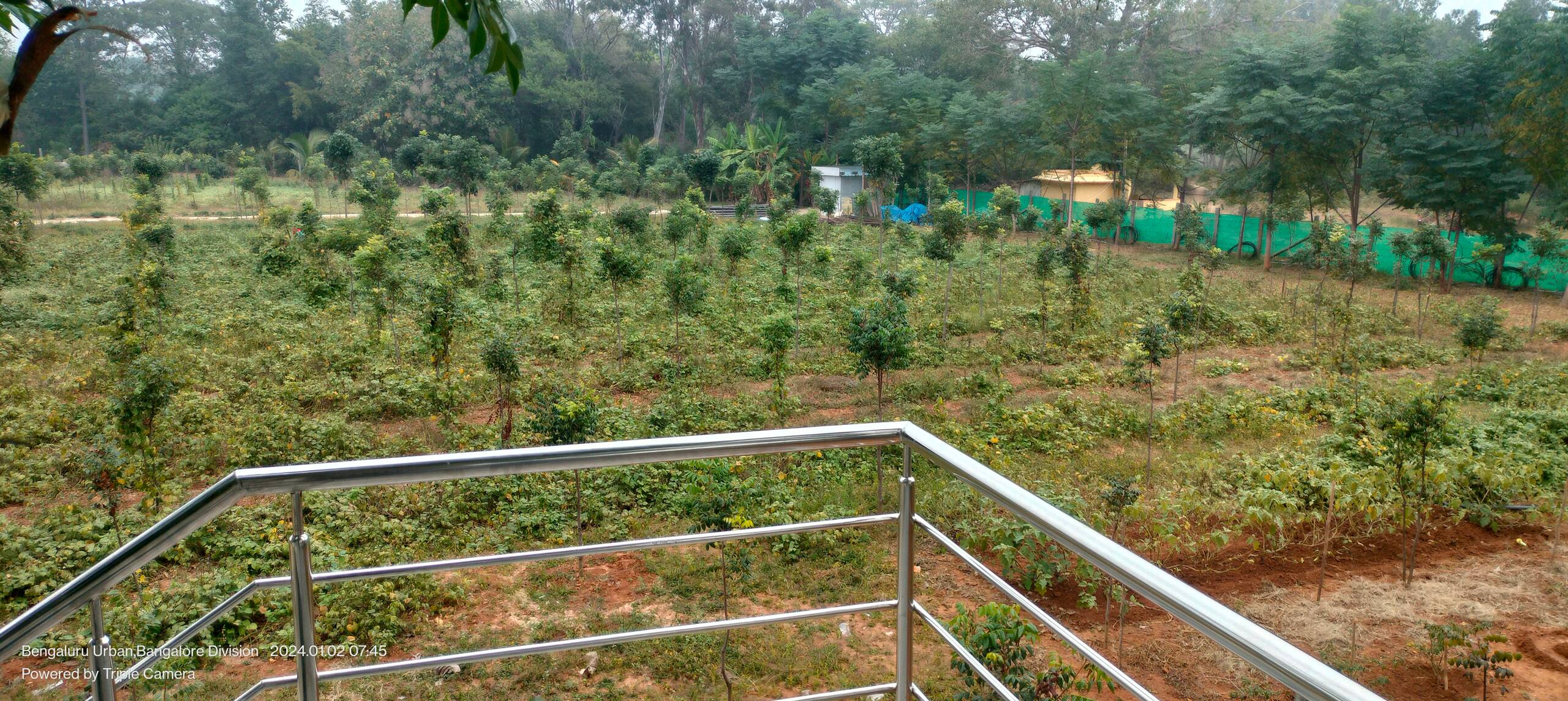 Chinnaswamy Farm stay (Tree House) 13