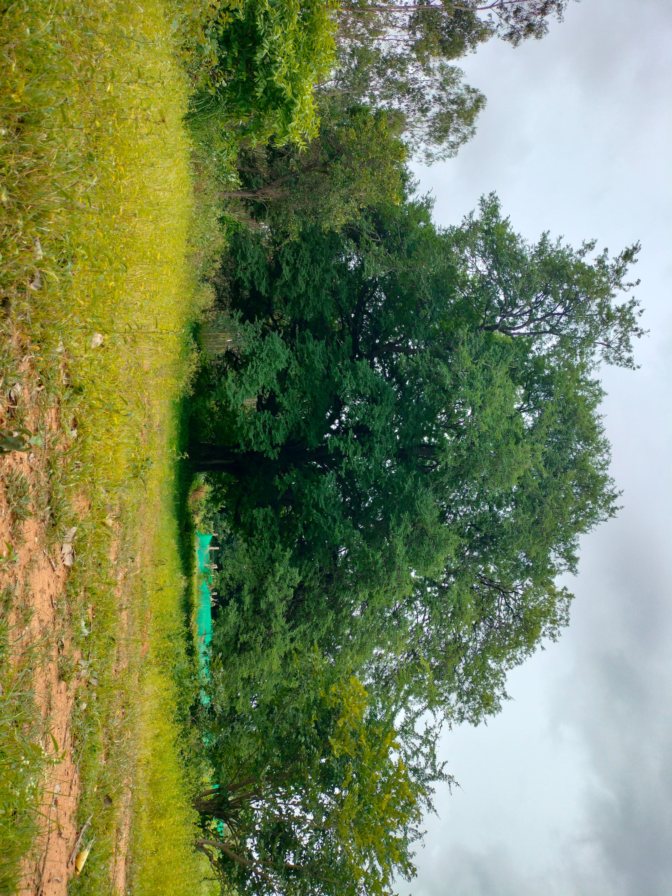 Chinnaswamy Farm stay (Tree House) 27