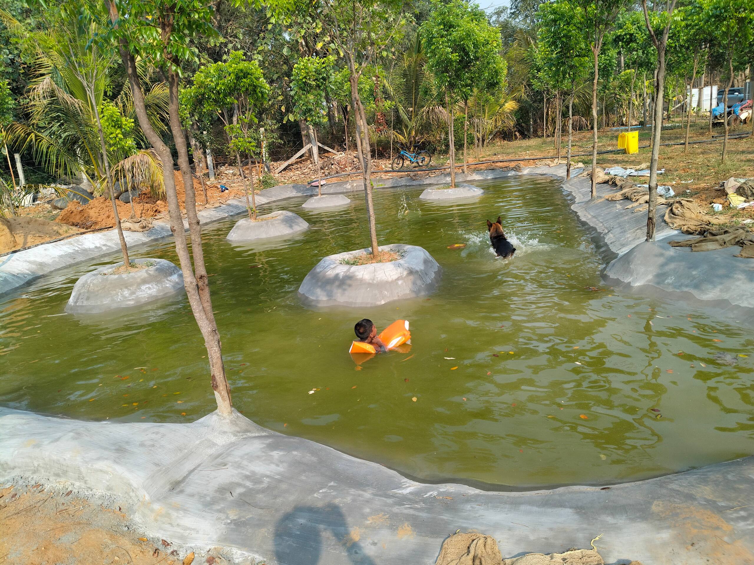 Chinnaswamy Farm stay (Tree House) 34