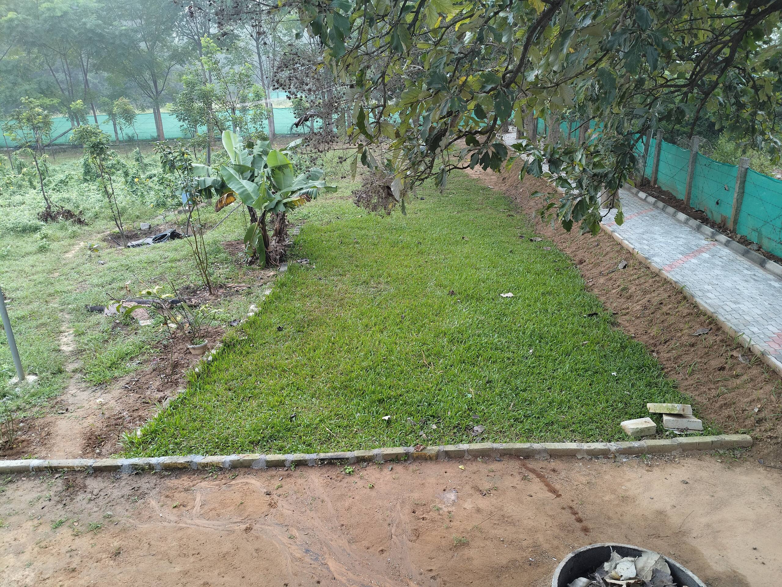 Chinnaswamy Farm stay (Tree House) 12