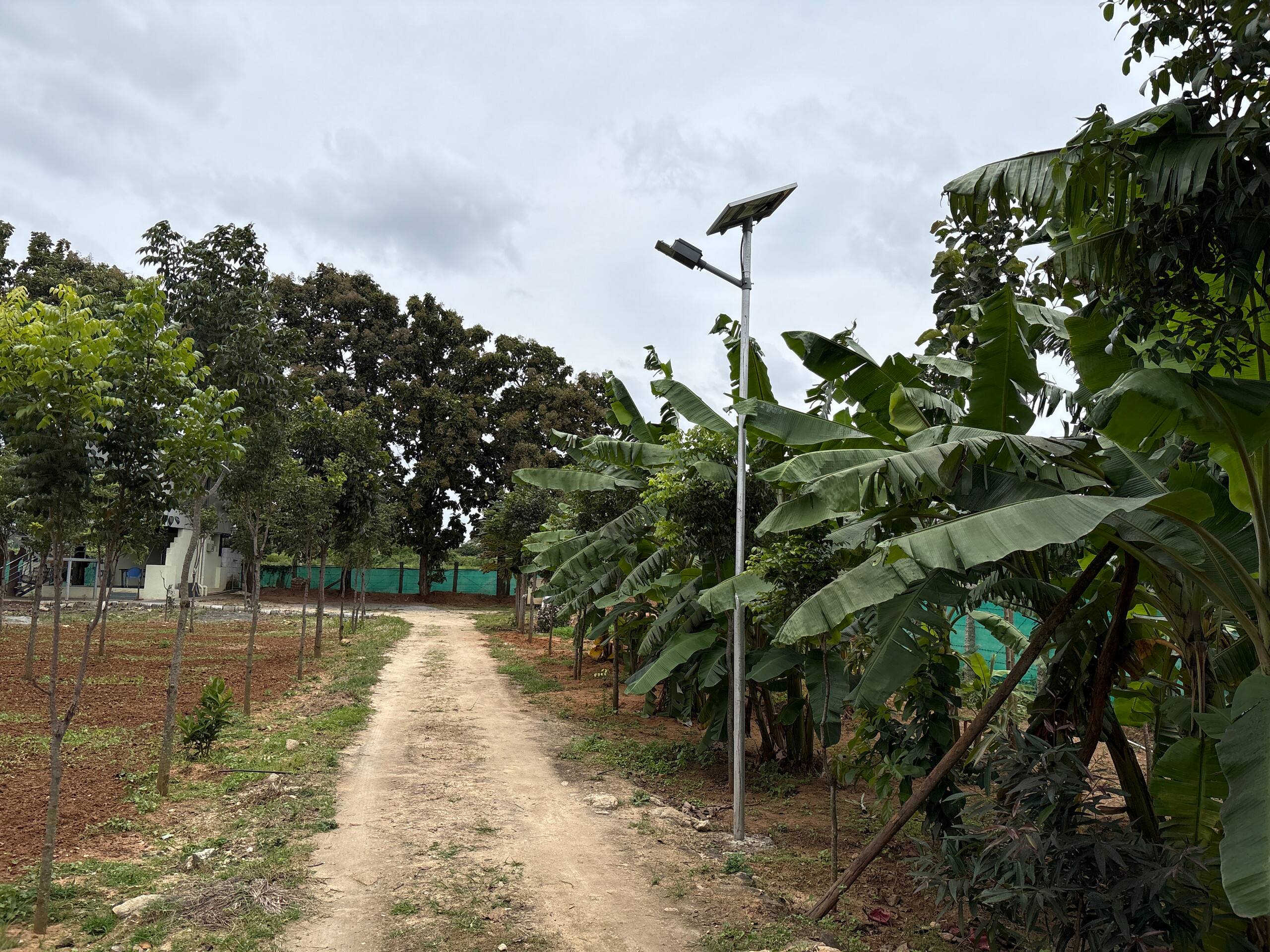 Chinnaswamy Farm stay (Tree House) 36