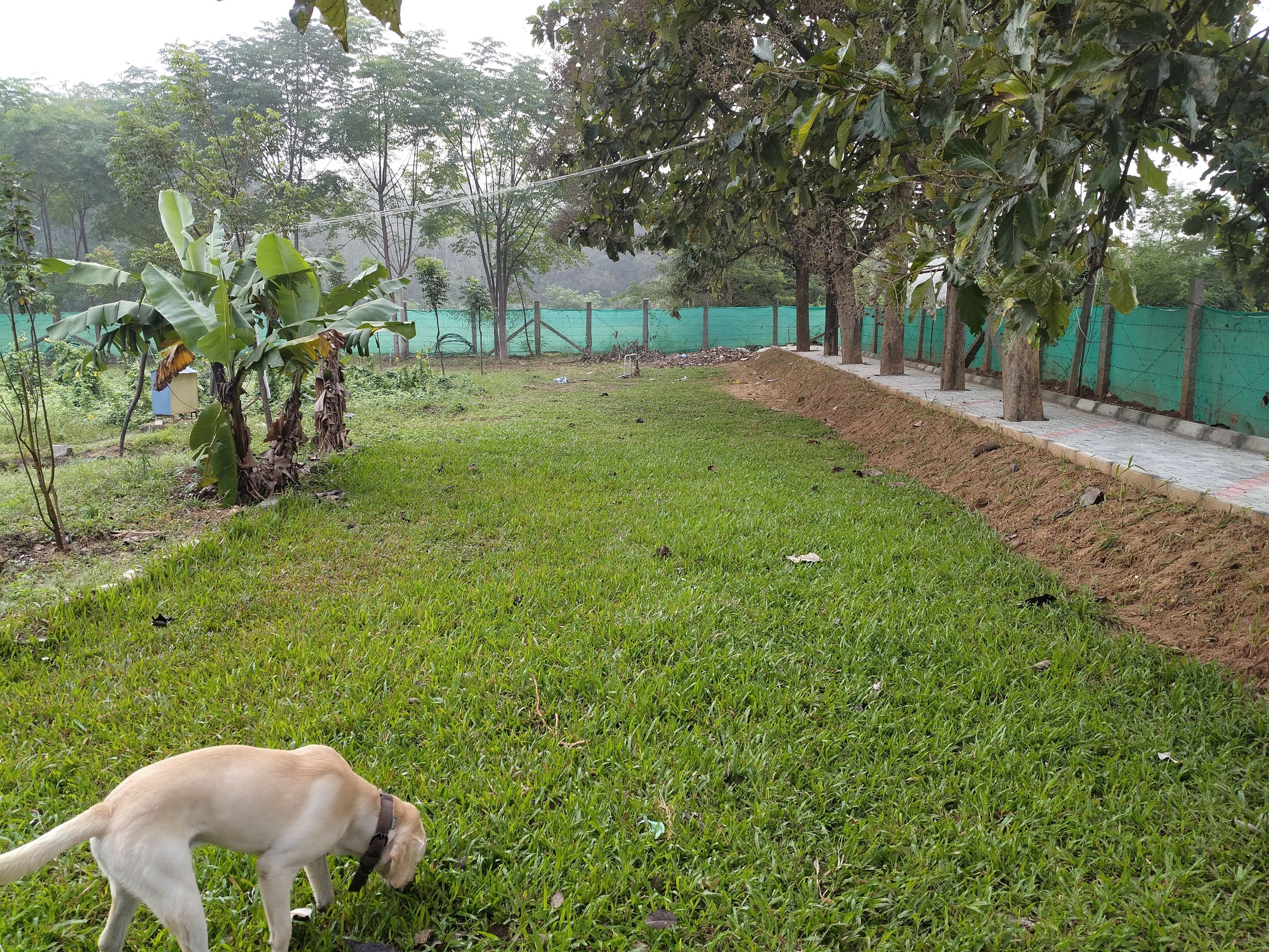 Chinnaswamy Farm stay (Tree House)