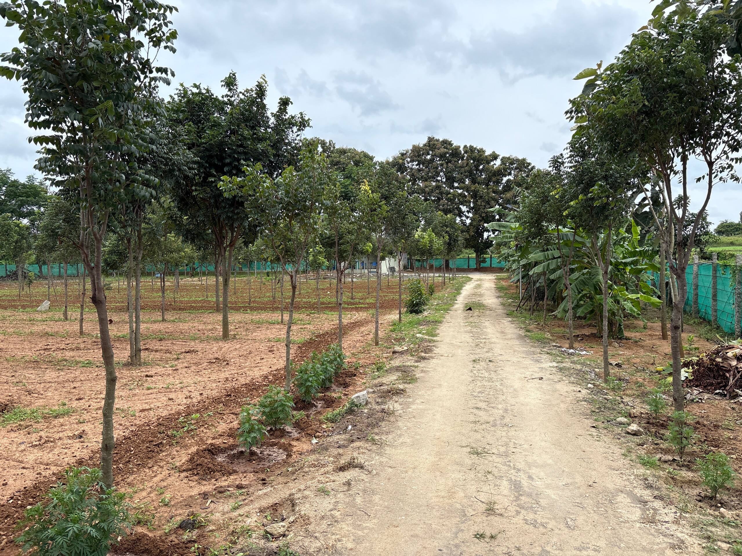 Chinnaswamy Farm stay (Tree House) 35