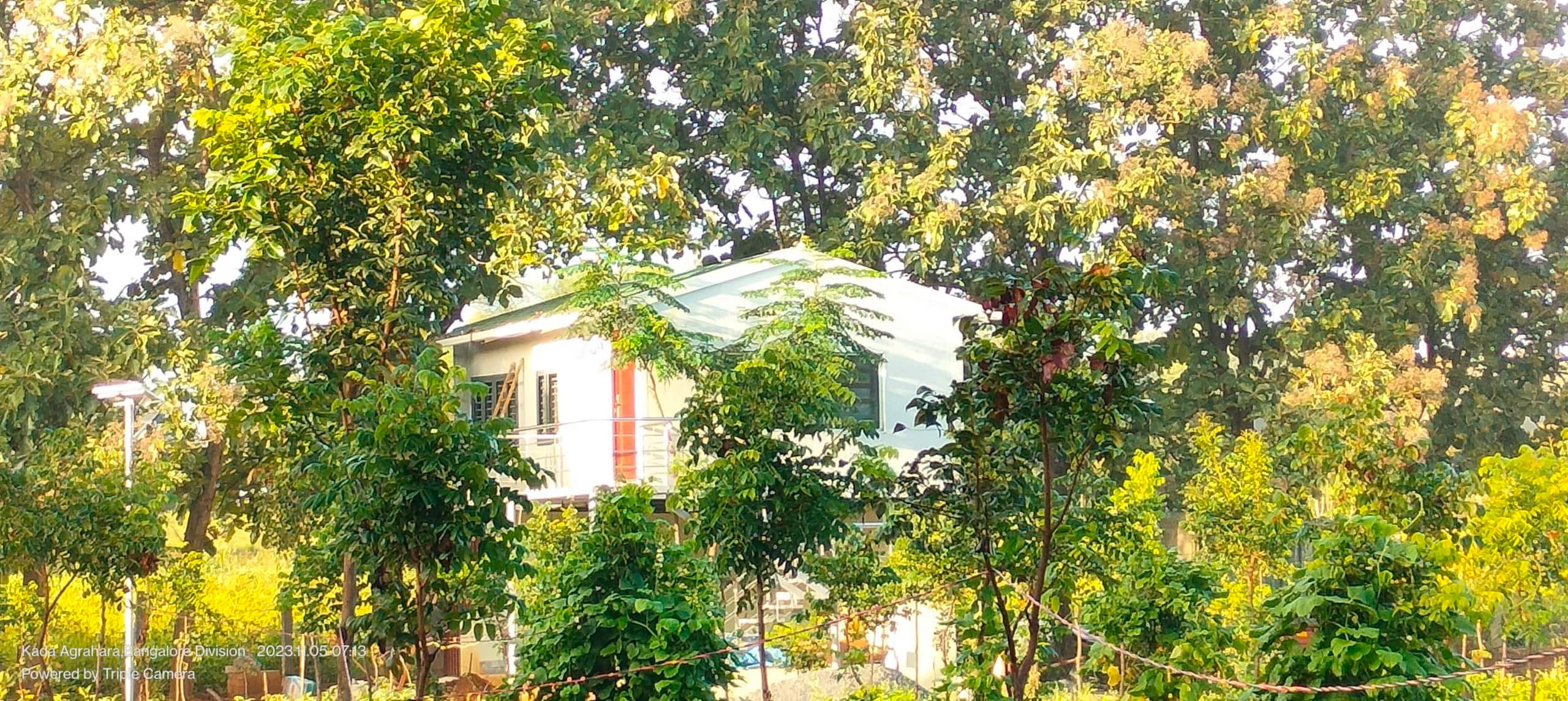 Chinnaswamy Farm stay (Tree House) — photo 4