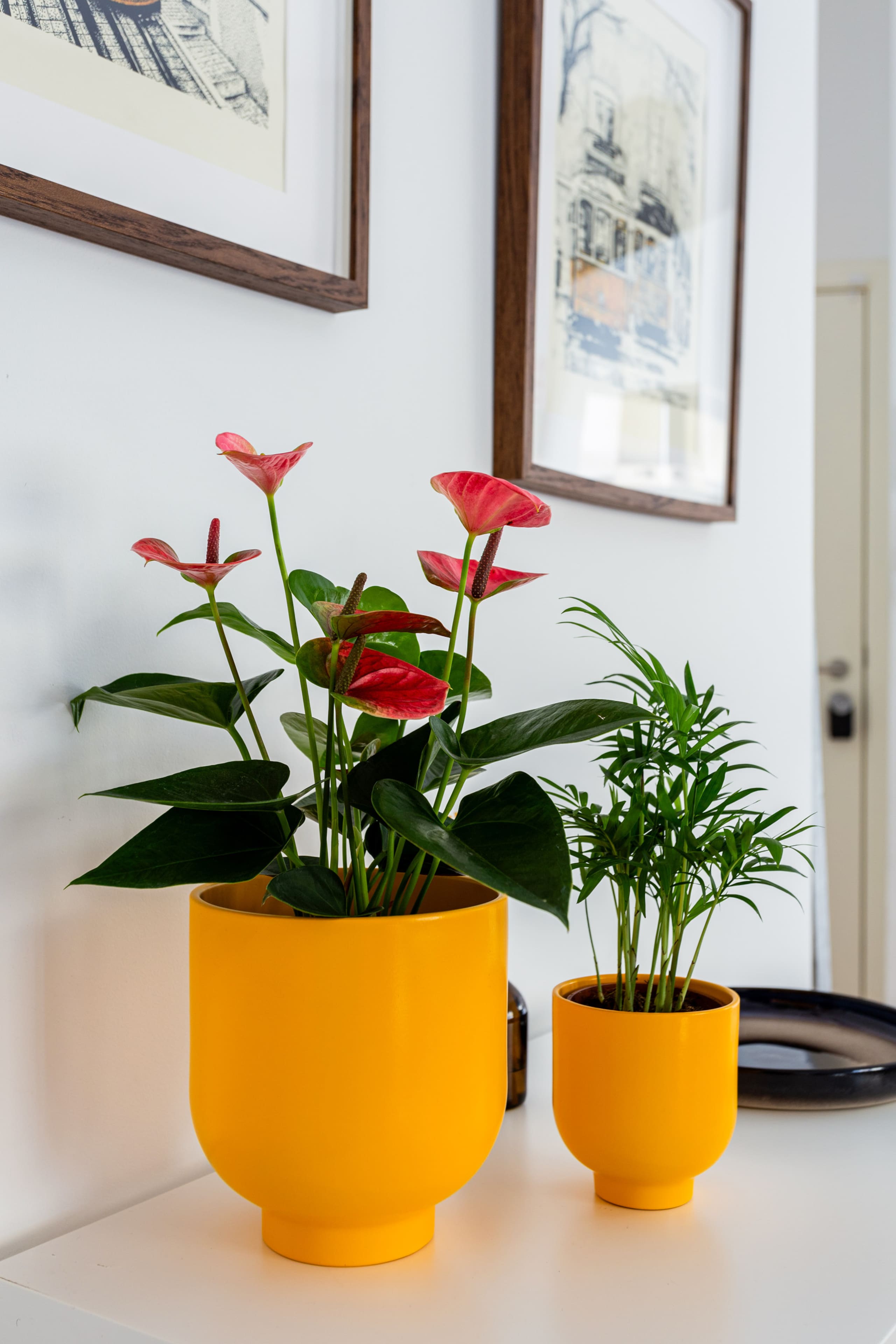 Campo de Ourique Modern Clean 12