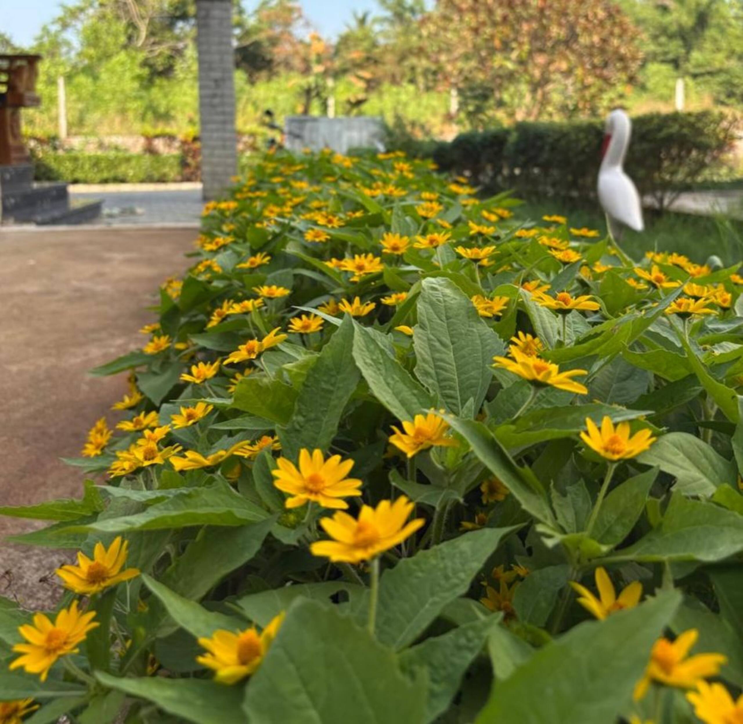 MyYearlyStay in Udupi - StarGaze 31
