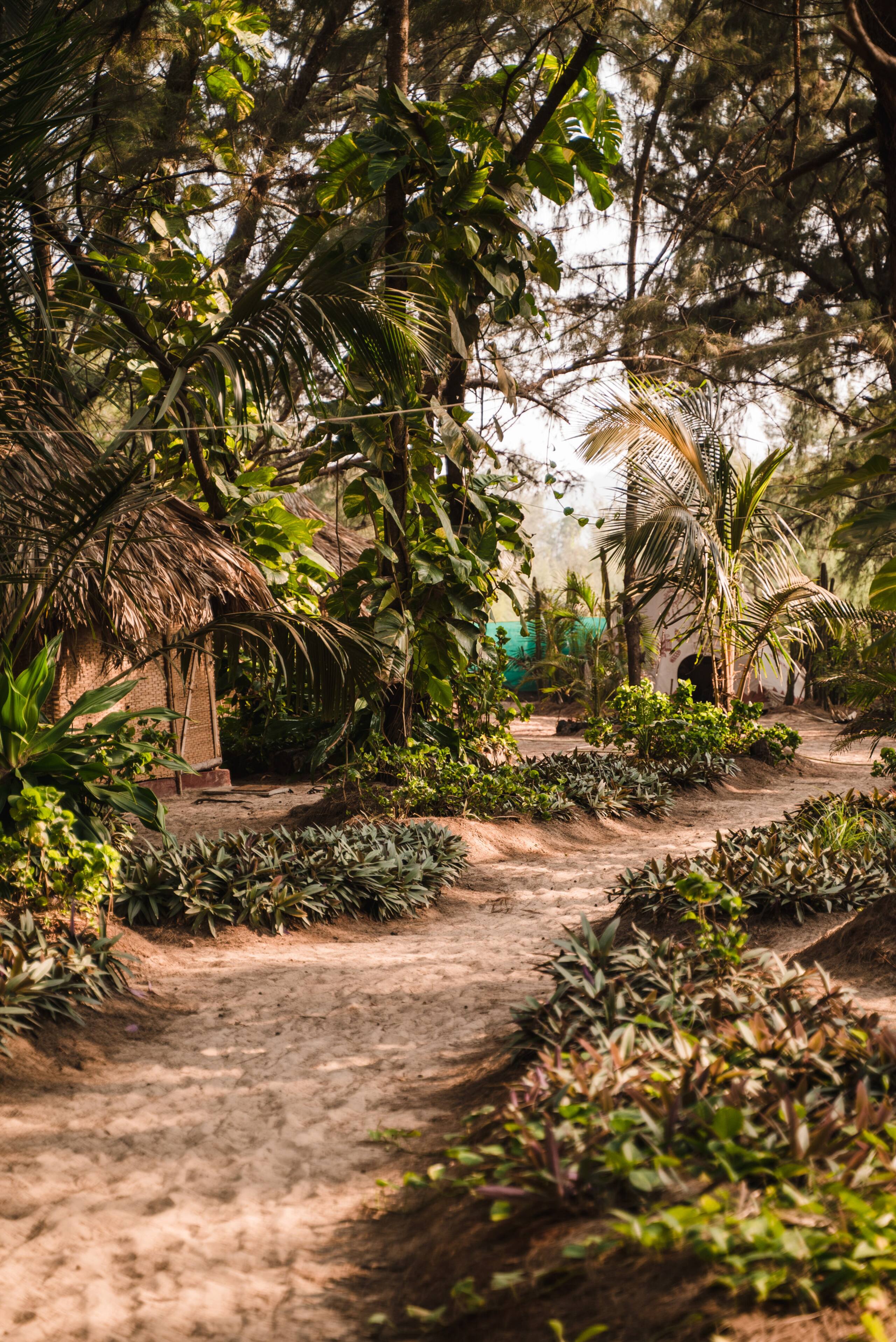 Ecolodge Camp 33