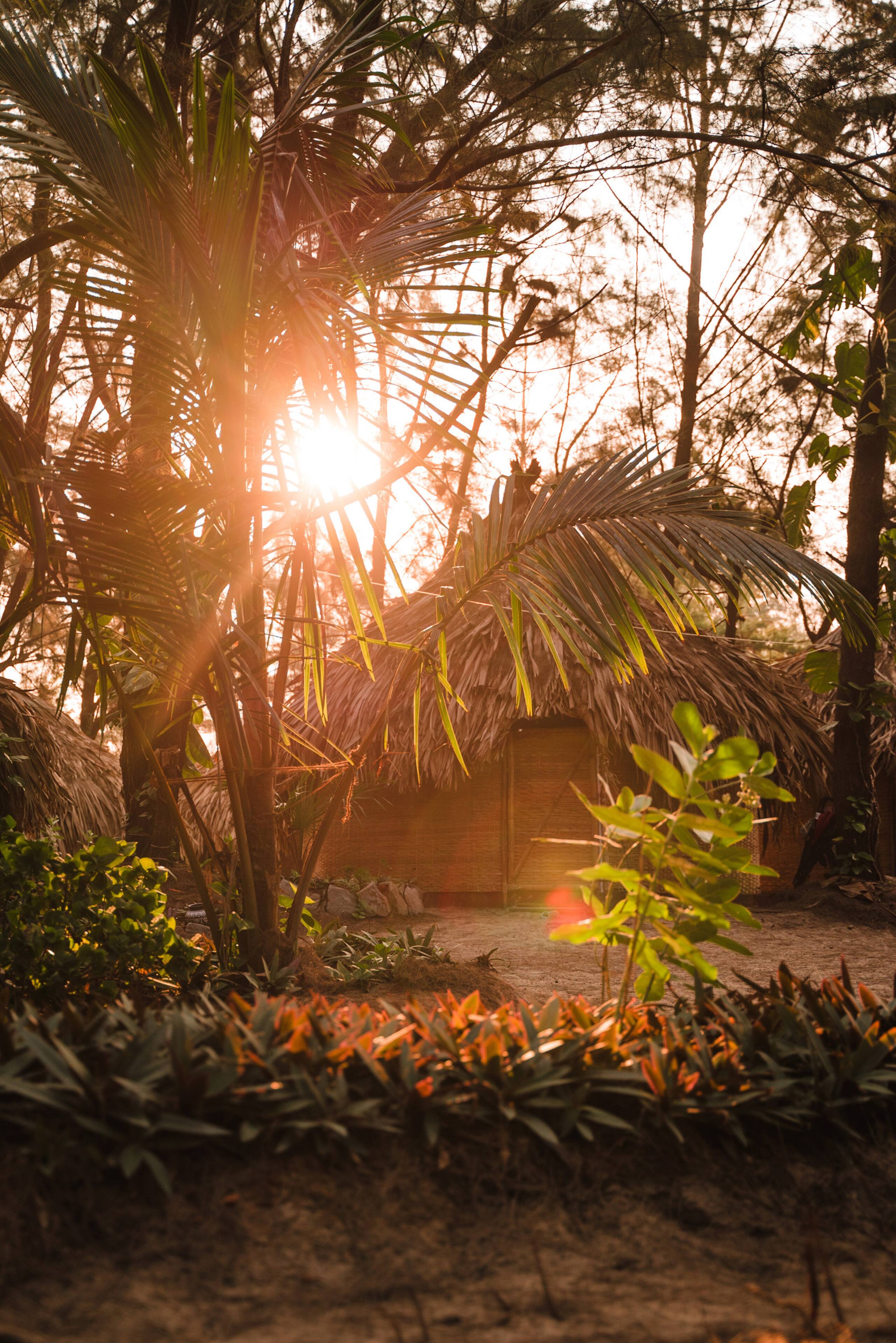 Ecolodge Camp 30