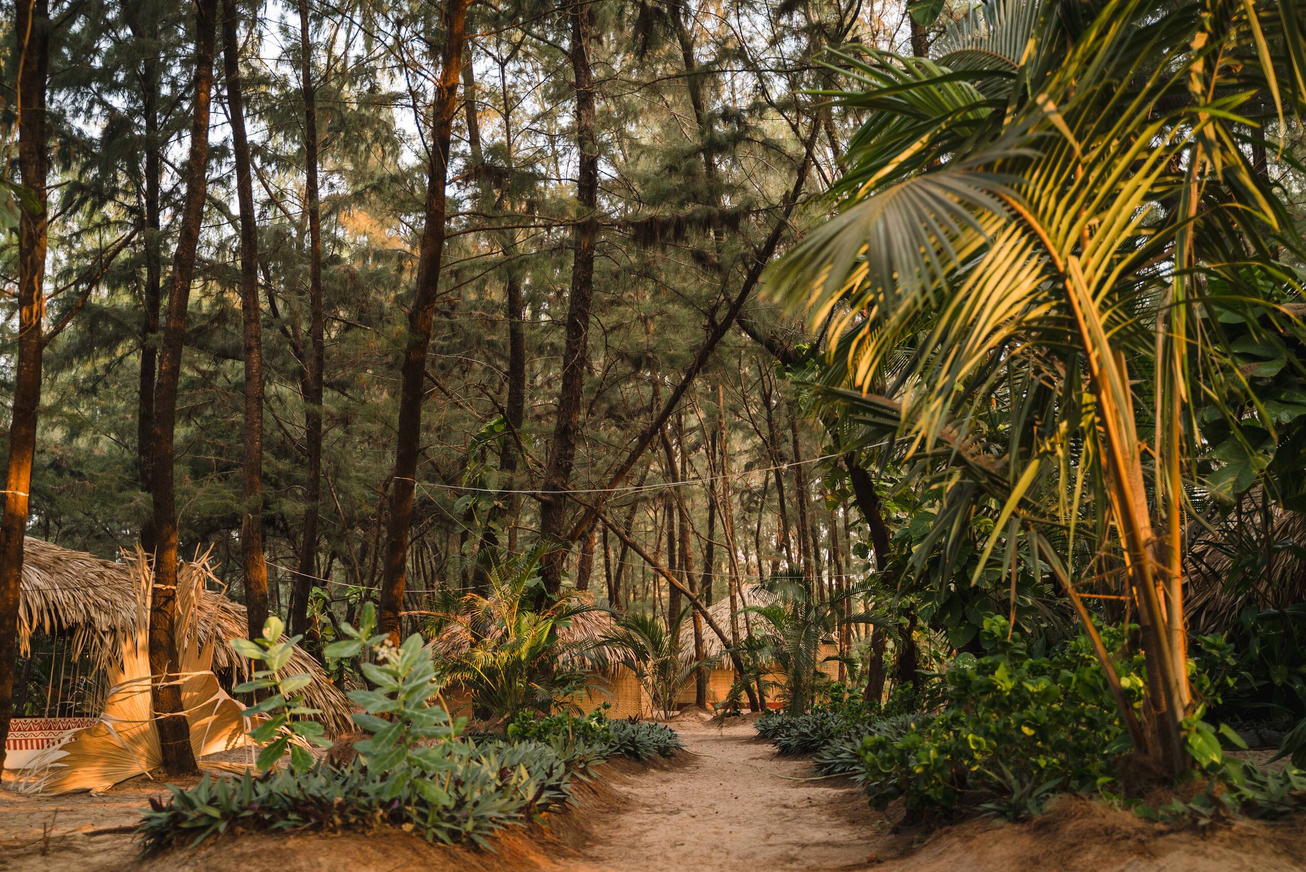 Ecolodge Camp 35