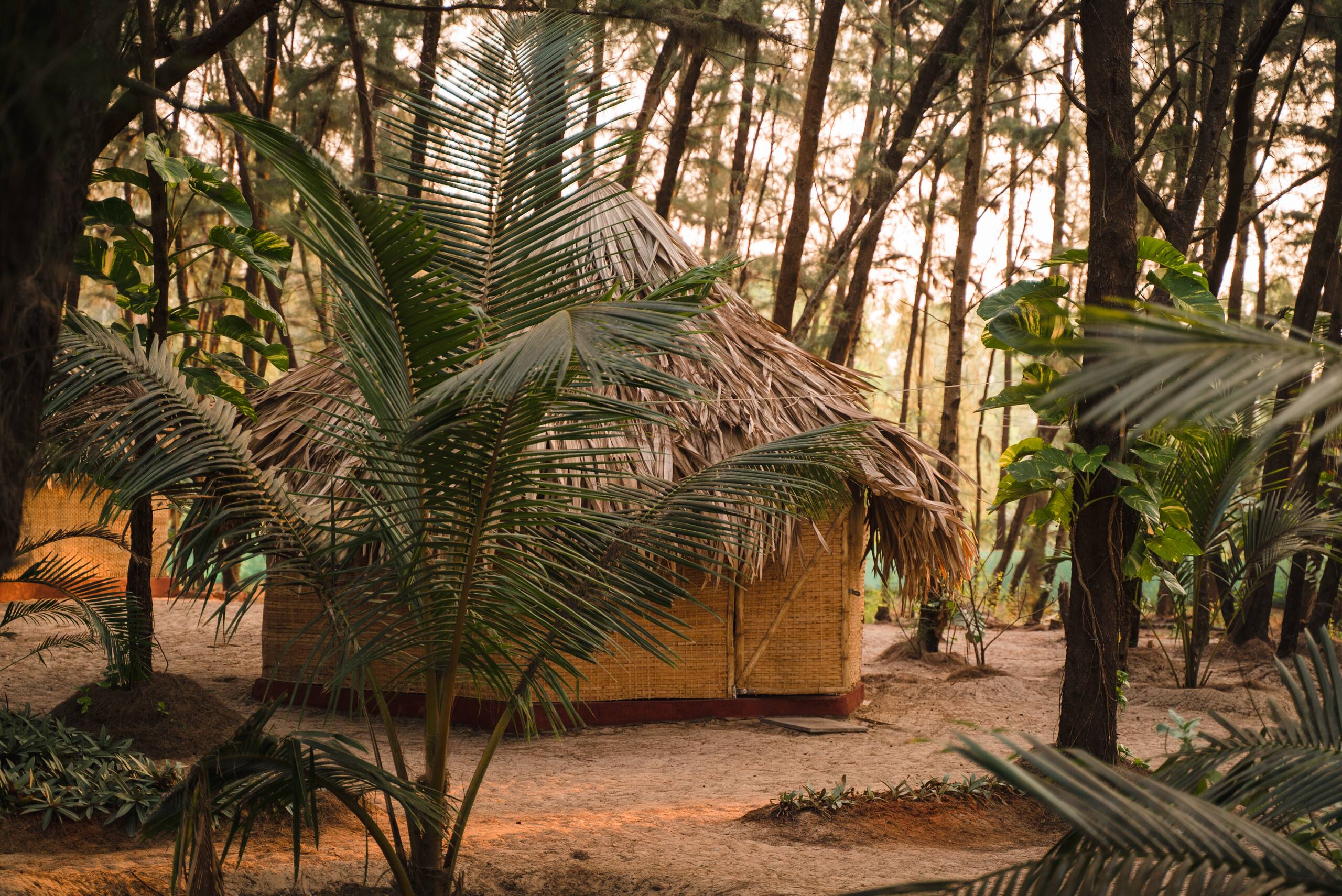 Ecolodge Camp 39