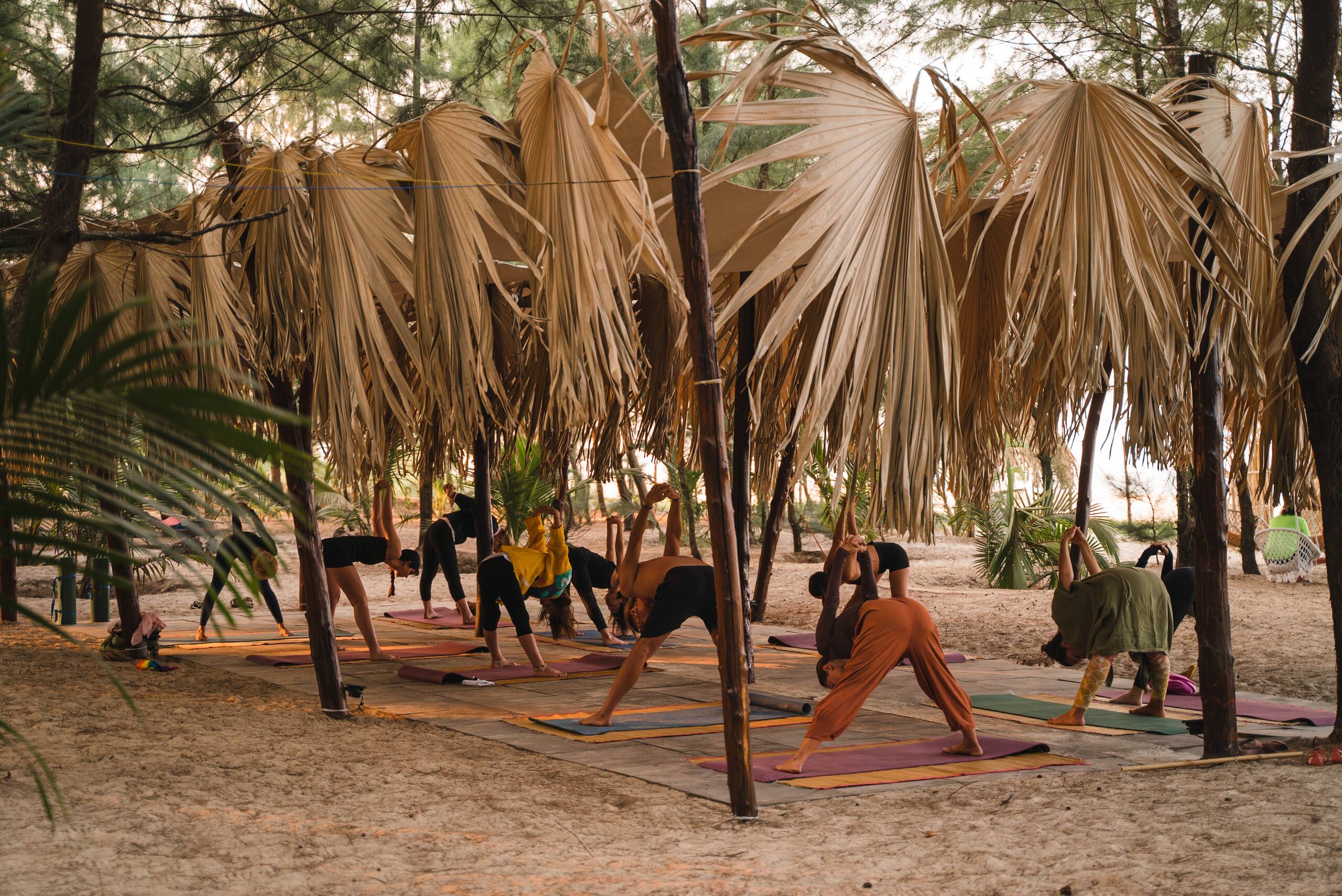 Ecolodge Camp 36