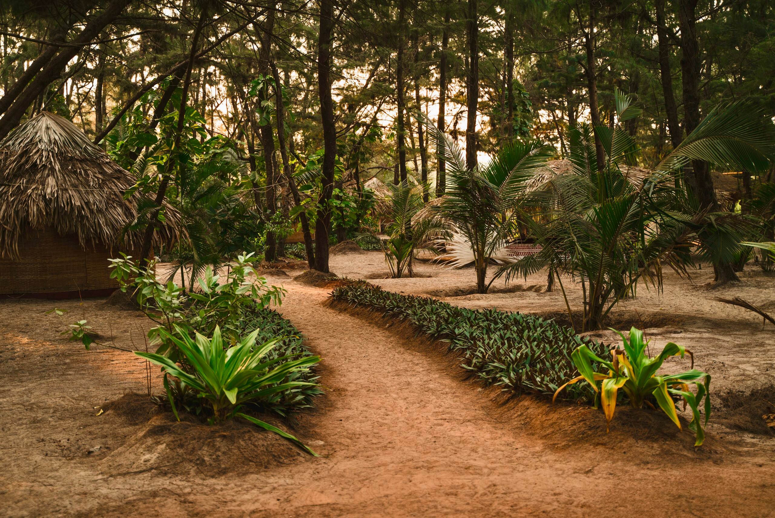 Ecolodge Camp 31