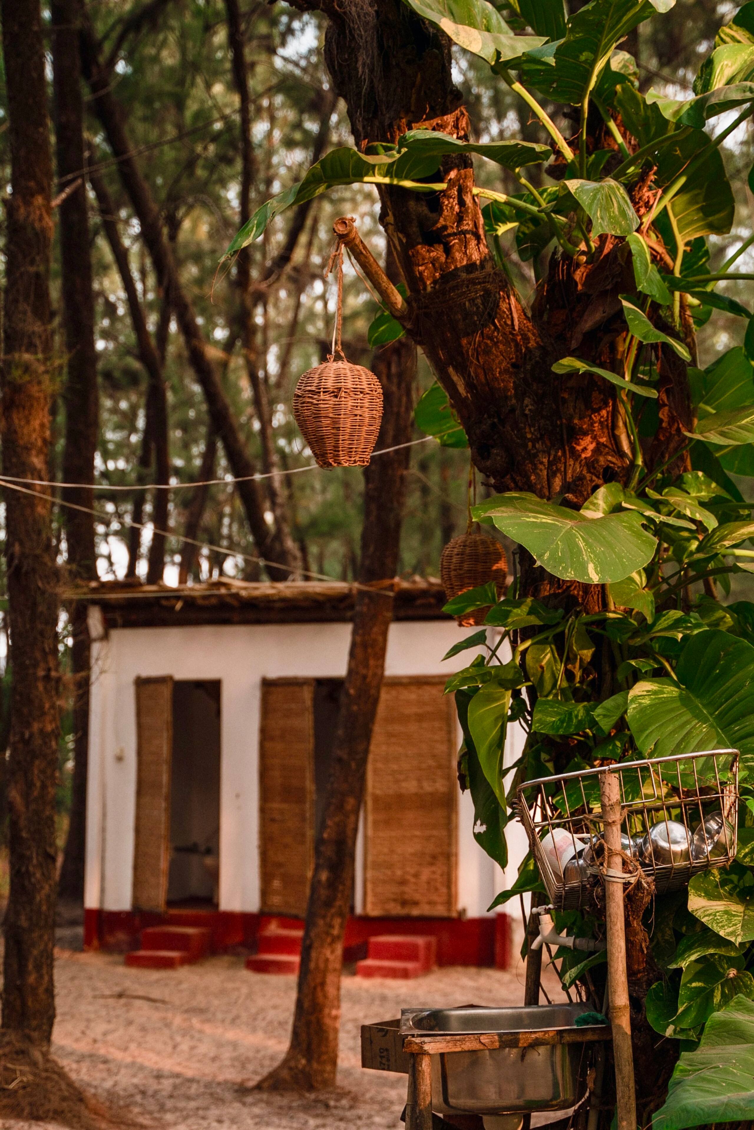 Ecolodge Camp 22