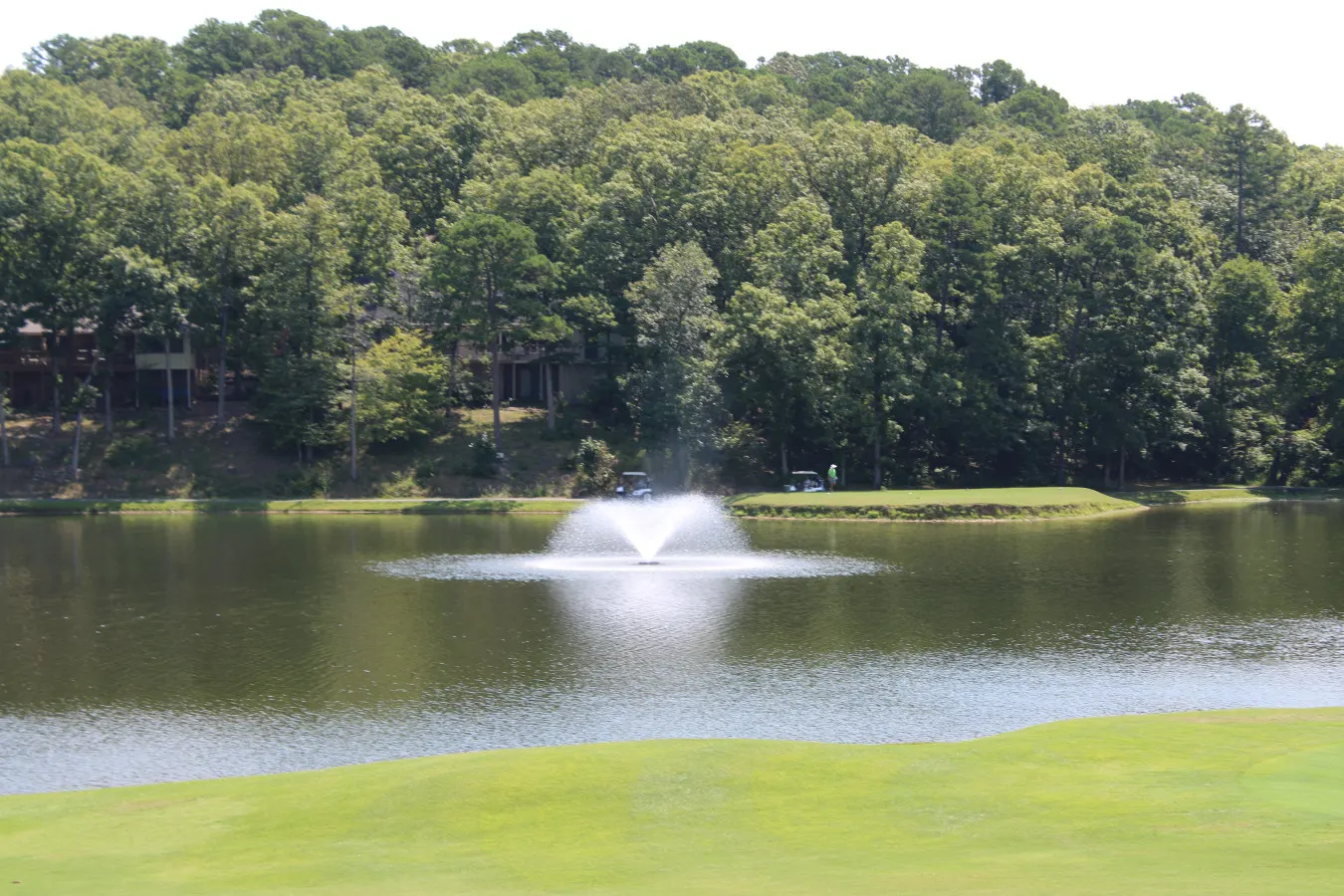 Condo on the Green 20
