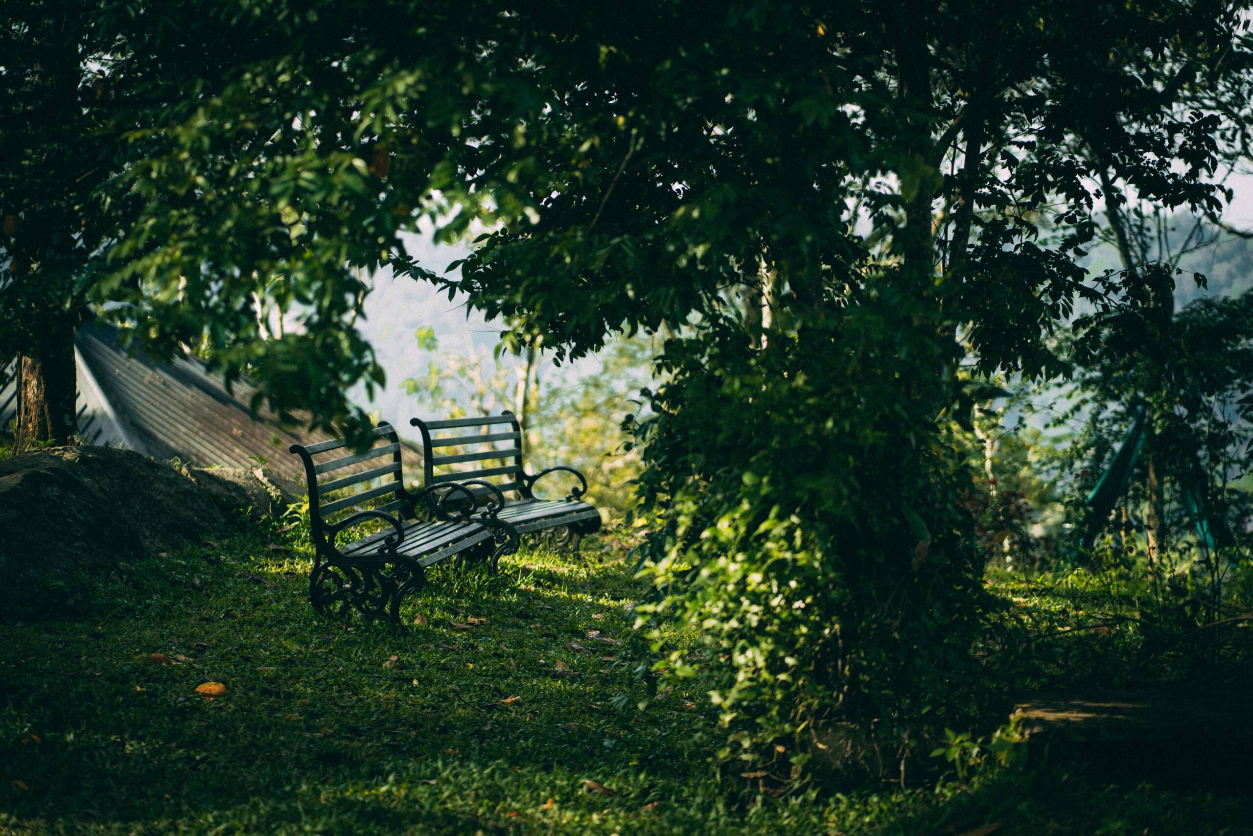 3 Guest Rooms 1 Cottage | Ideal for Groups of 10+ 19