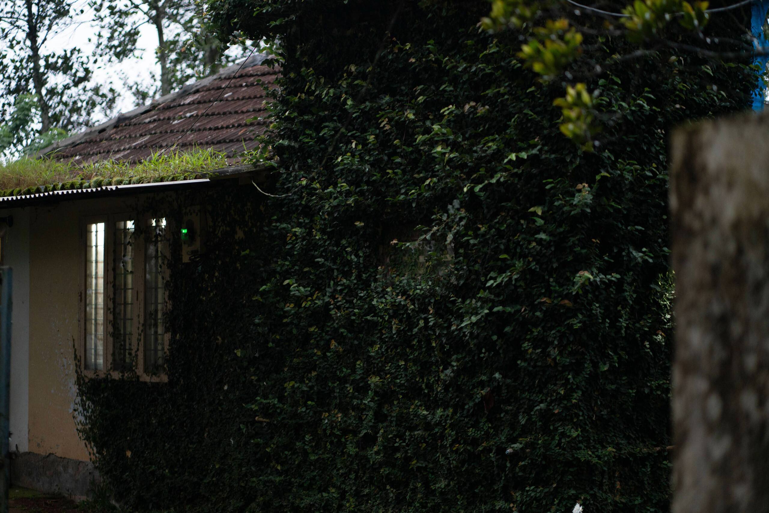 3 Guest Rooms 1 Cottage | Ideal for Groups of 10+ 10