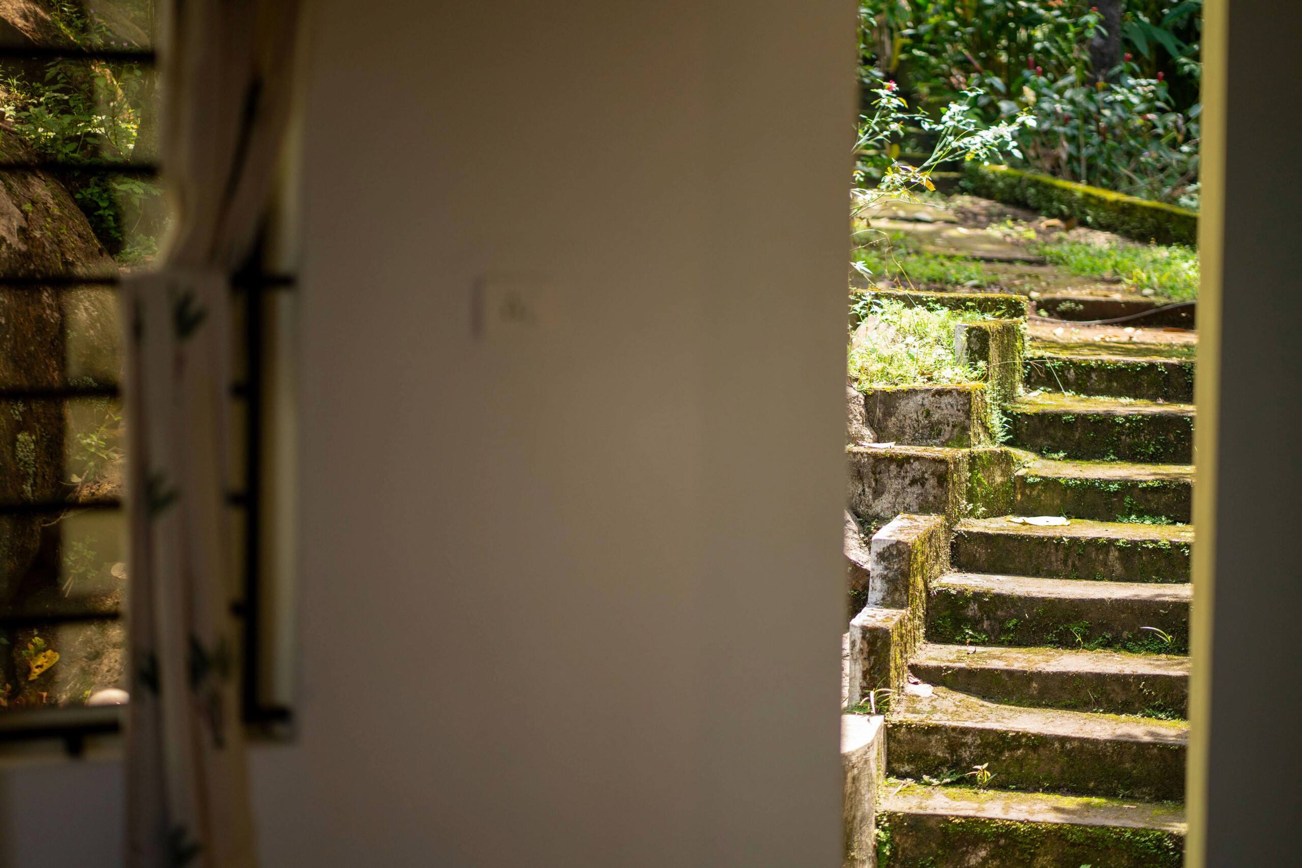 3 Guest Rooms 1 Cottage | Ideal for Groups of 10+ 36