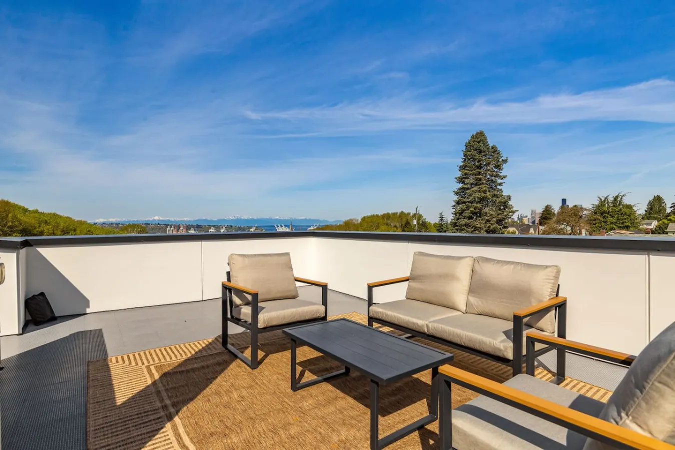 Central Oasis: Roof Terrace 8