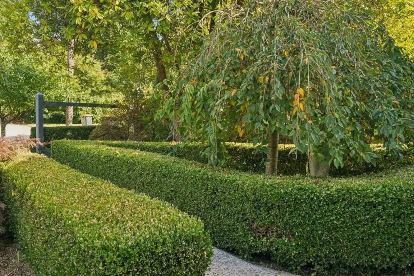 Mia - Romantic charming retreat in a quiet street 13