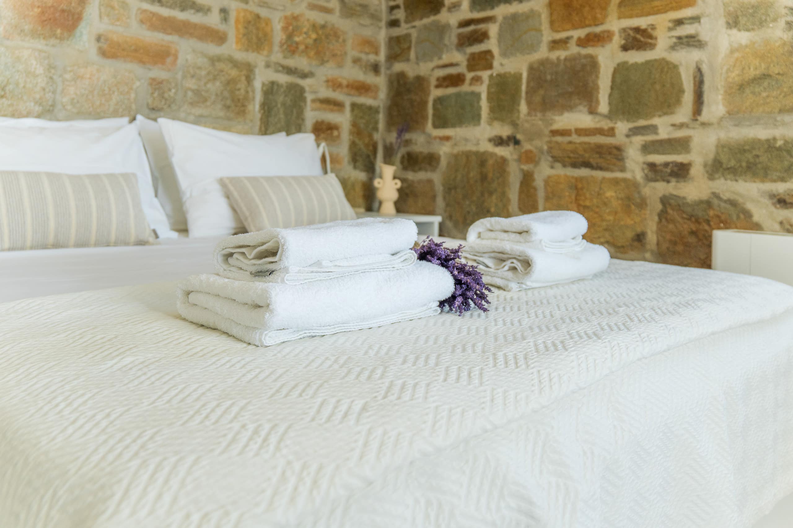Ventus Villa private pool 14