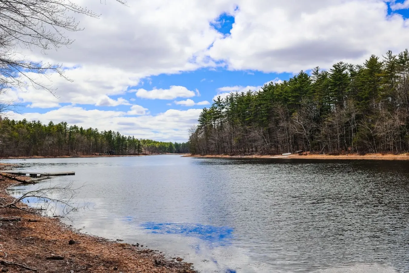 Long Pond Cabin Retreat 16
