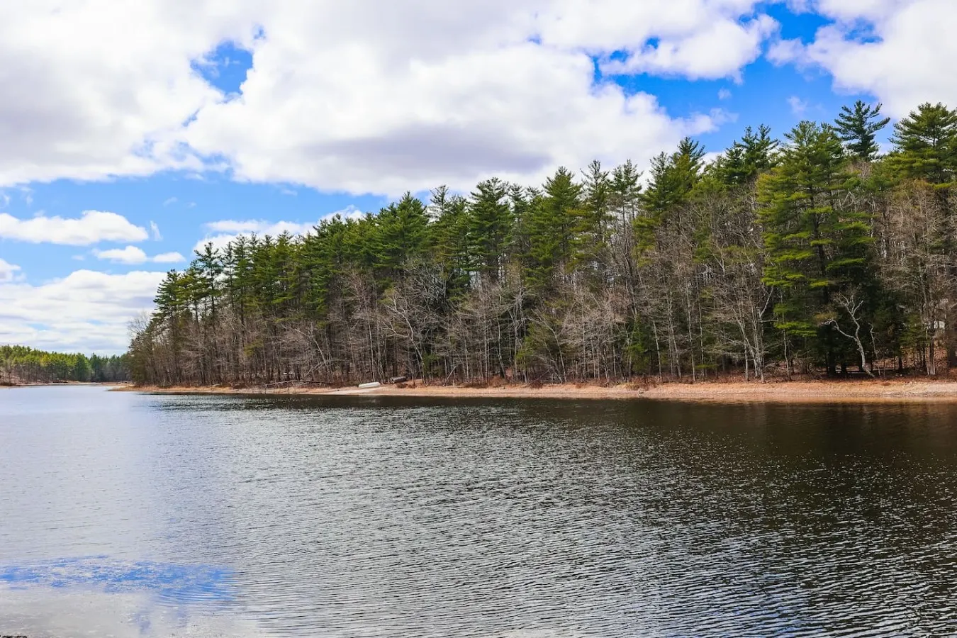 Long Pond Cabin Retreat 17